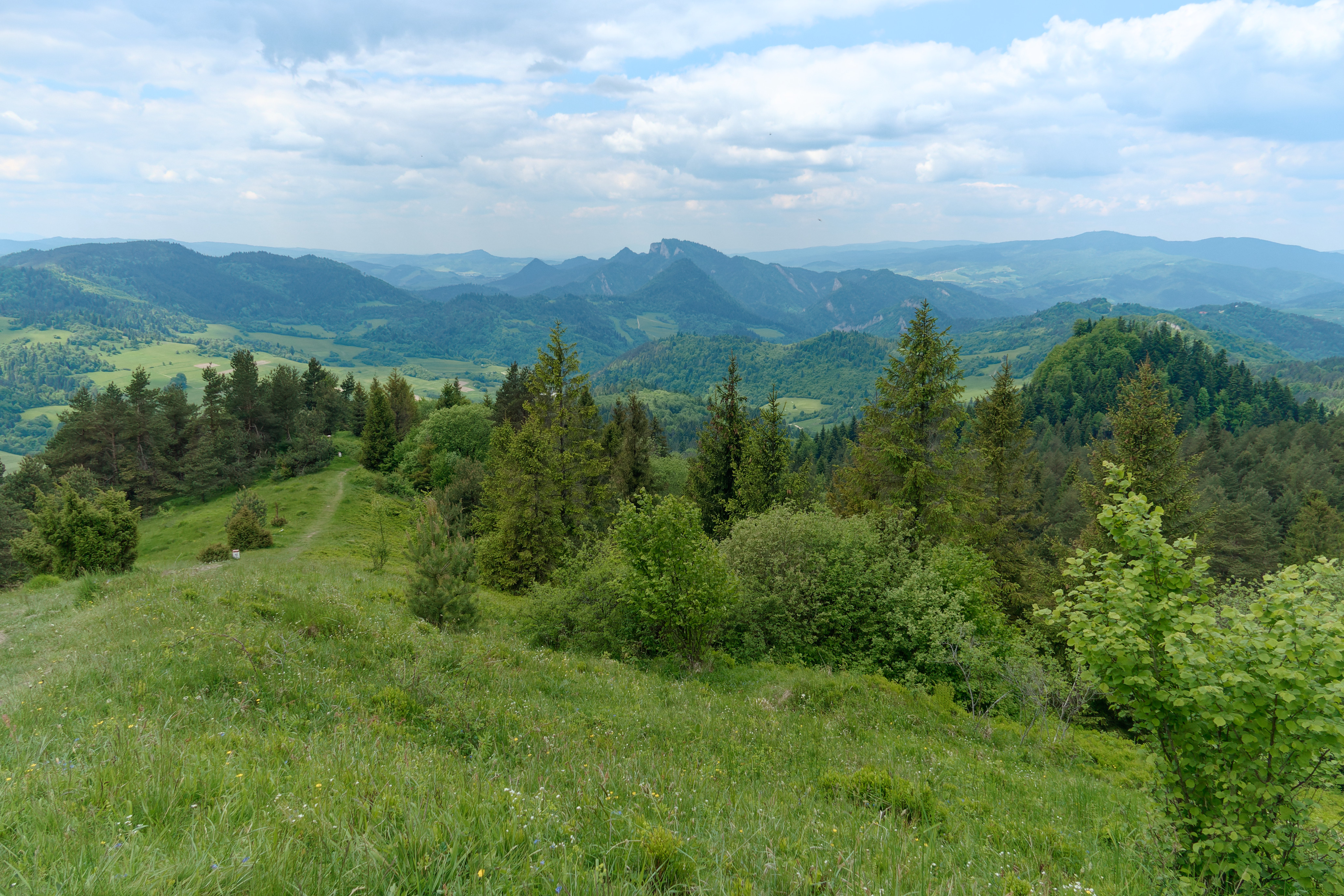 Nazwa:  2021_06_08_11.jpg
Wyświetleń: 128
Rozmiar:  3,57 MB