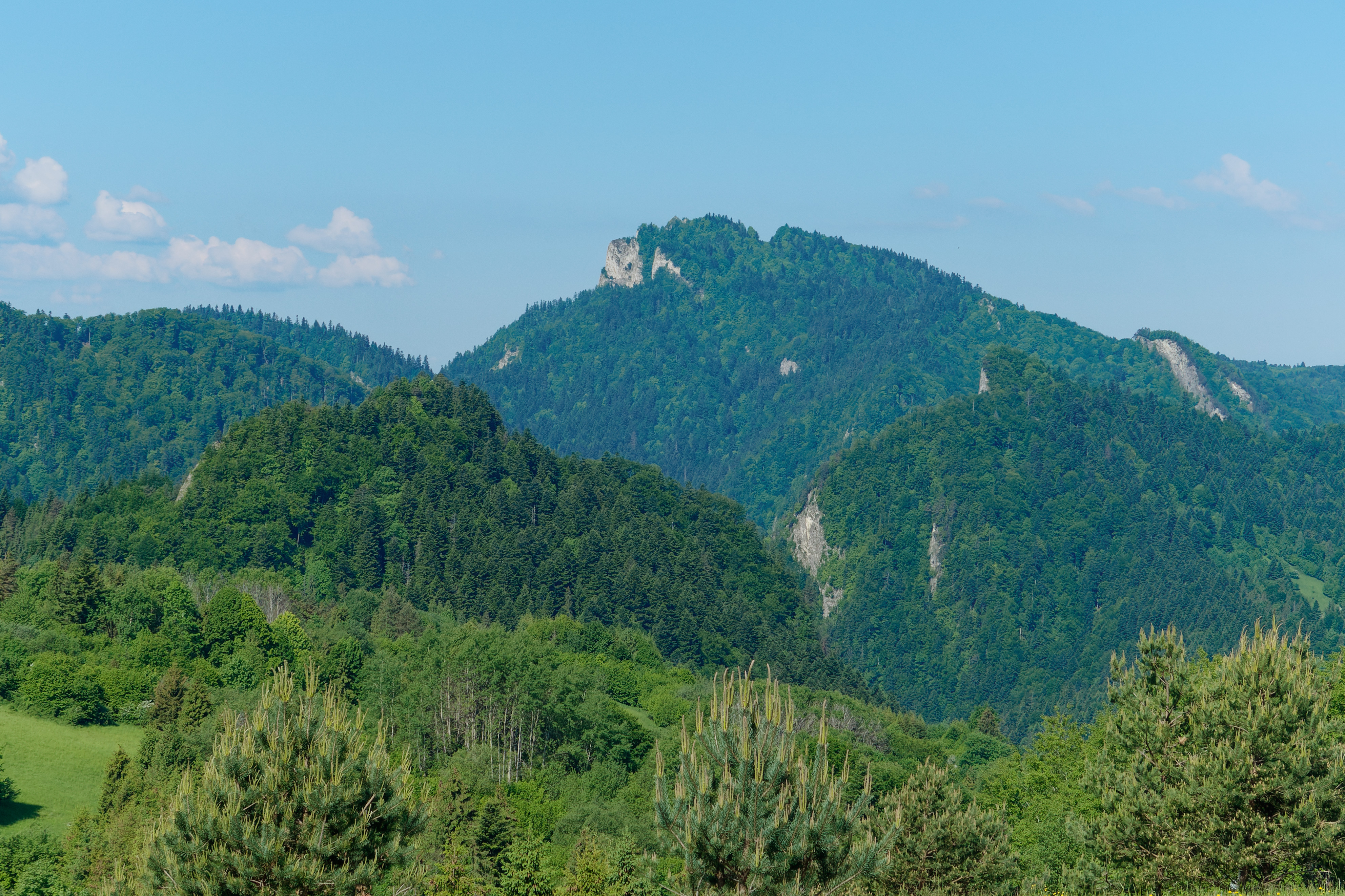 Nazwa:  2021_06_08_04.jpg
Wyświetleń: 133
Rozmiar:  3,61 MB
