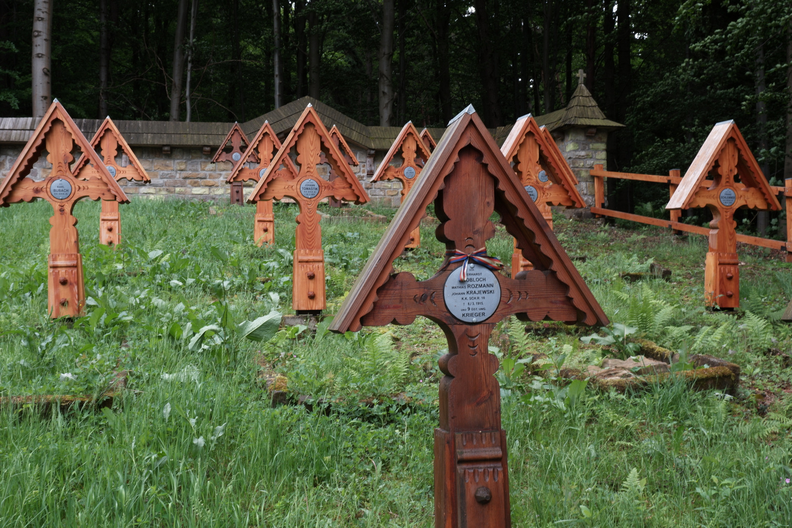 Nazwa:  DSCF5786.JPG
Wyświetleń: 313
Rozmiar:  814,1 KB