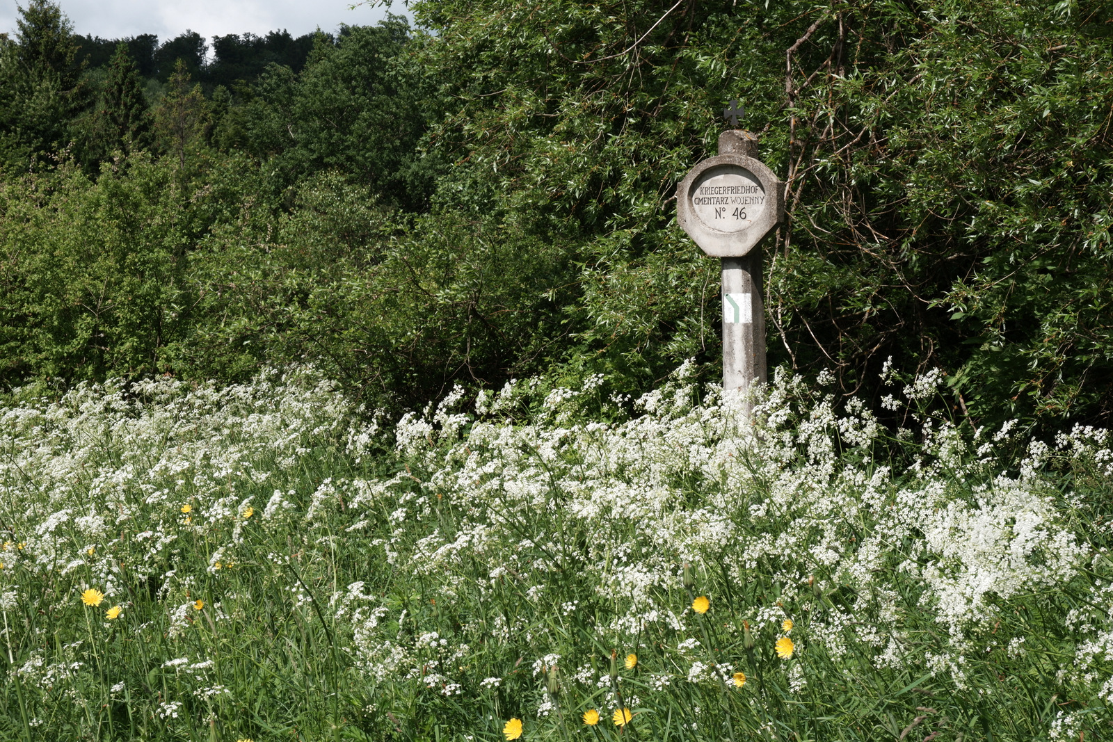 Nazwa:  DSCF5809.JPG
Wyświetleń: 297
Rozmiar:  1,19 MB
