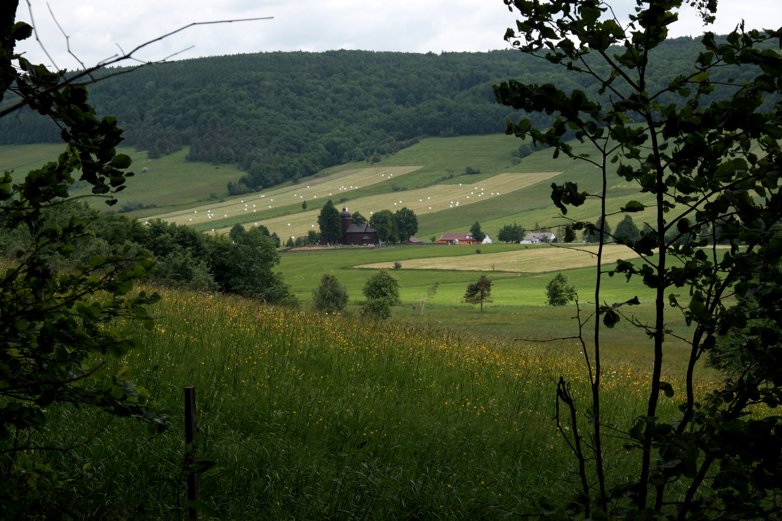Nazwa:  DSCF5845.JPG
Wyświetleń: 145
Rozmiar:  718,6 KB