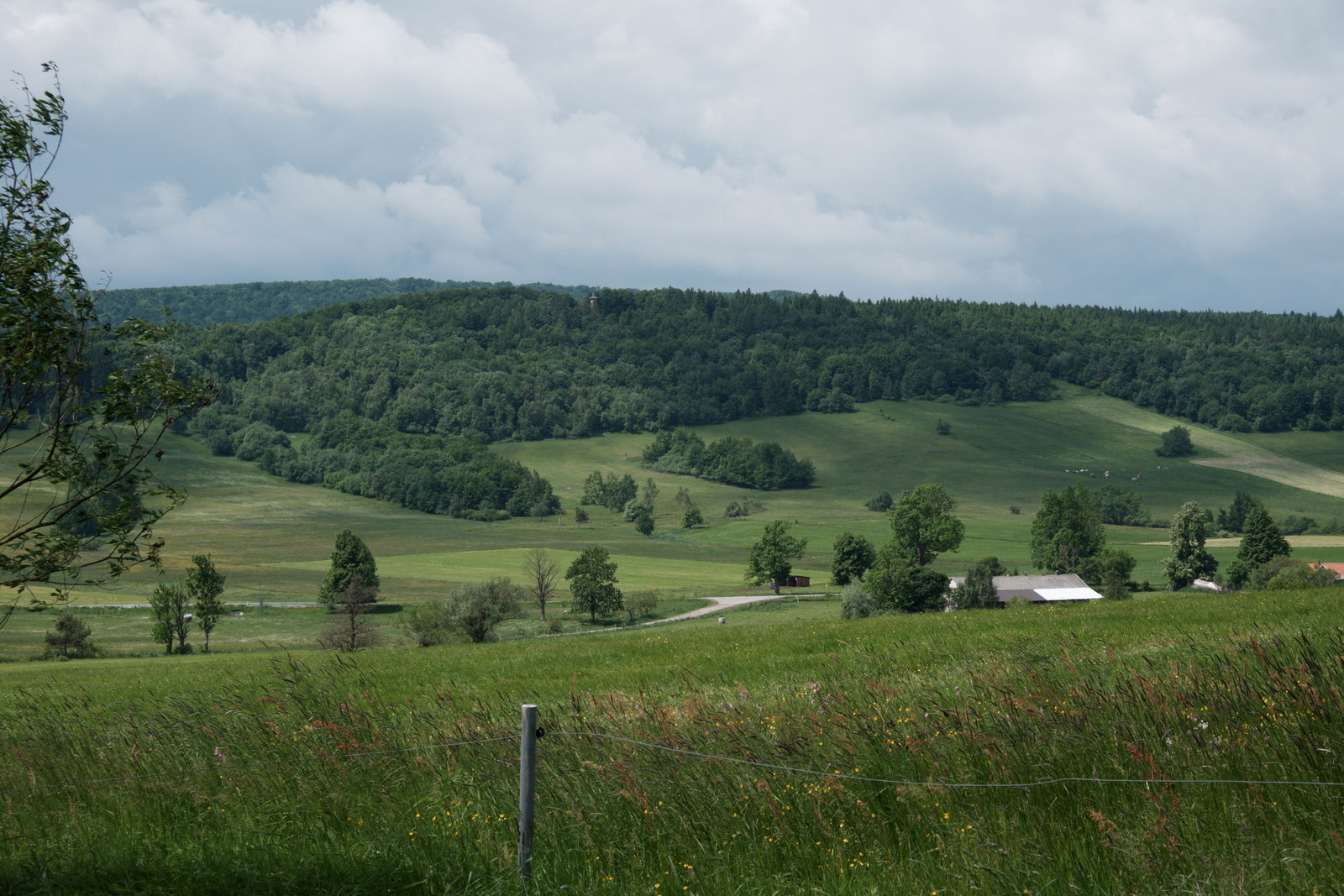 Nazwa:  DSCF5850.JPG
Wyświetleń: 146
Rozmiar:  632,0 KB