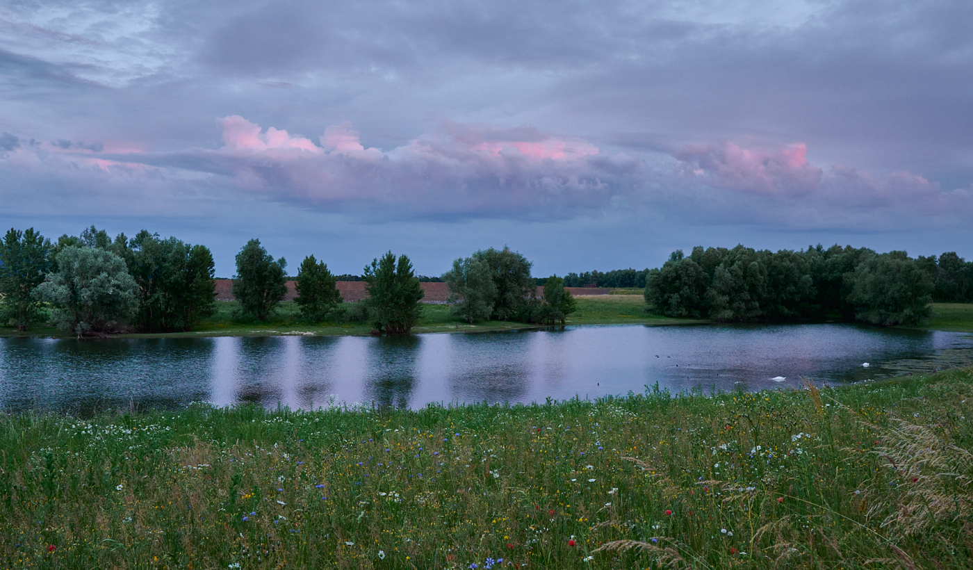 Nazwa:  _2227041 1.jpg
Wyświetleń: 68
Rozmiar:  1,22 MB