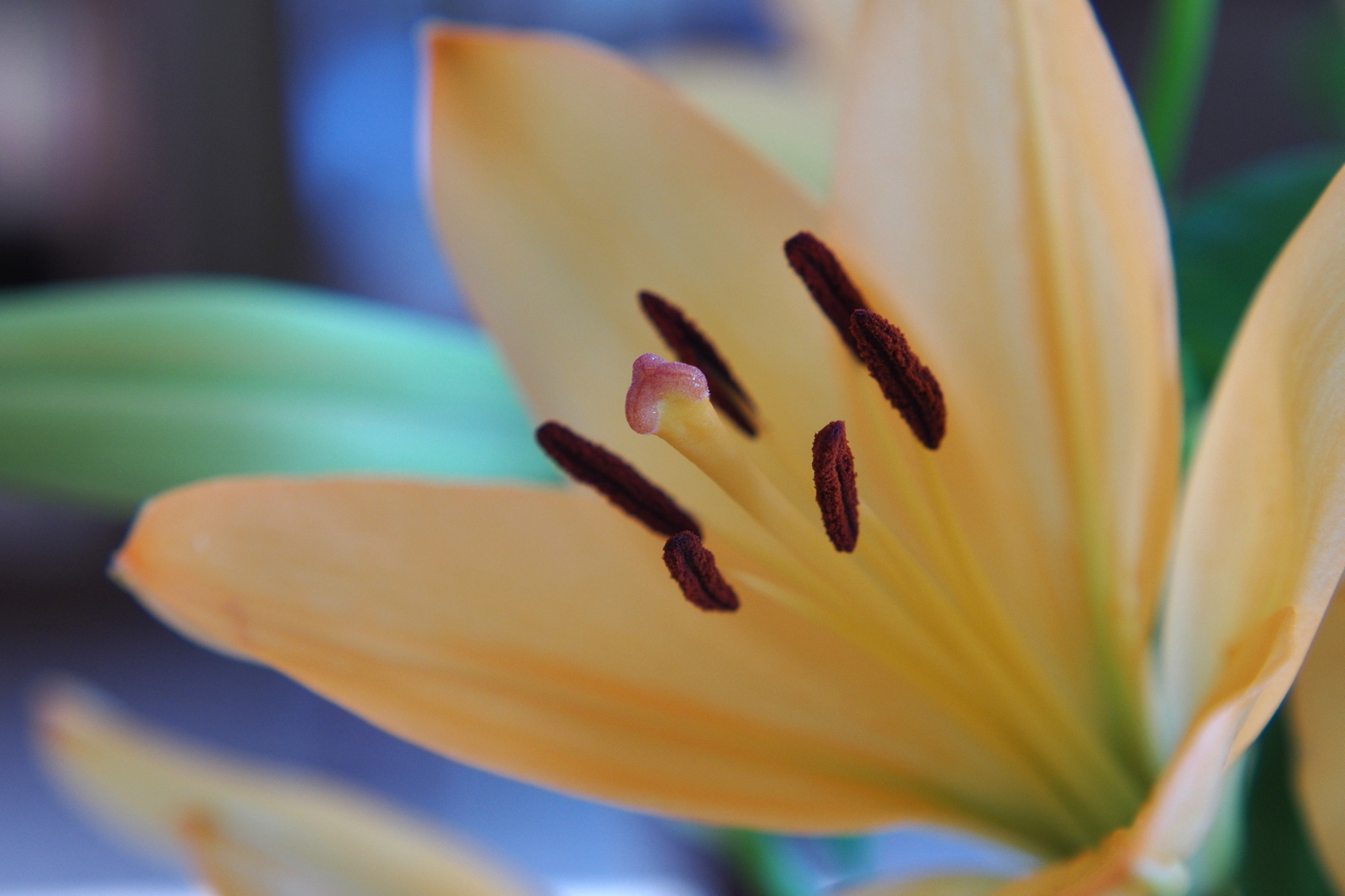 Nazwa:  001s.jpg
Wyświetleń: 124
Rozmiar:  516,4 KB