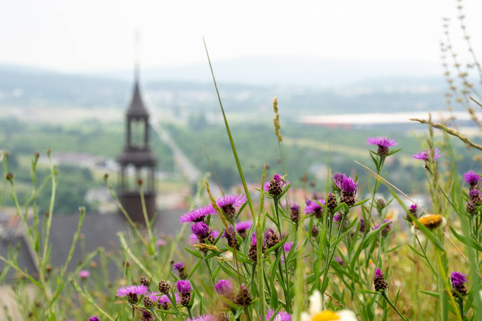 Nazwa:  208.jpg
Wyświetleń: 183
Rozmiar:  170,3 KB