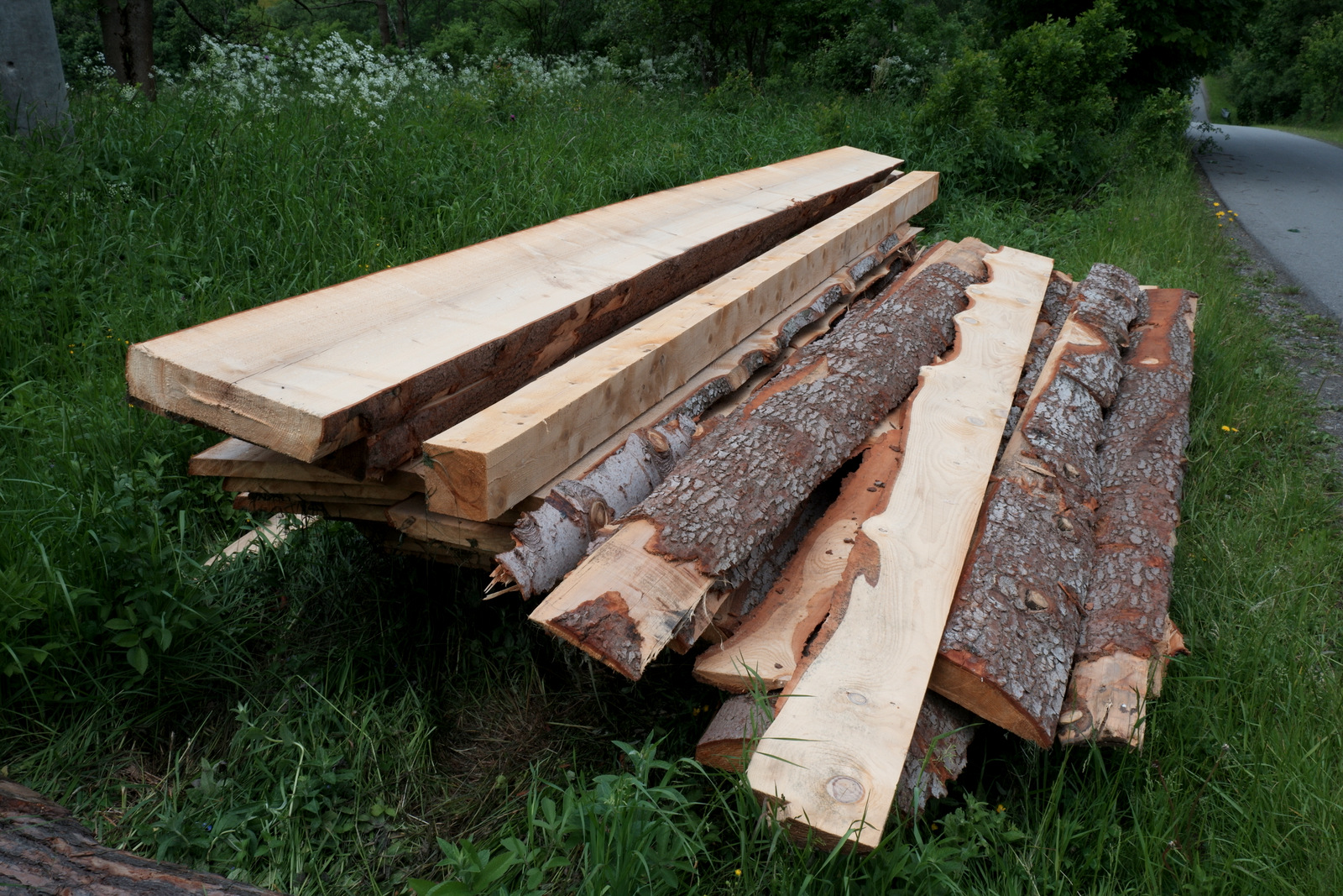 Nazwa:  DSCF5882.JPG
Wyświetleń: 121
Rozmiar:  808,5 KB