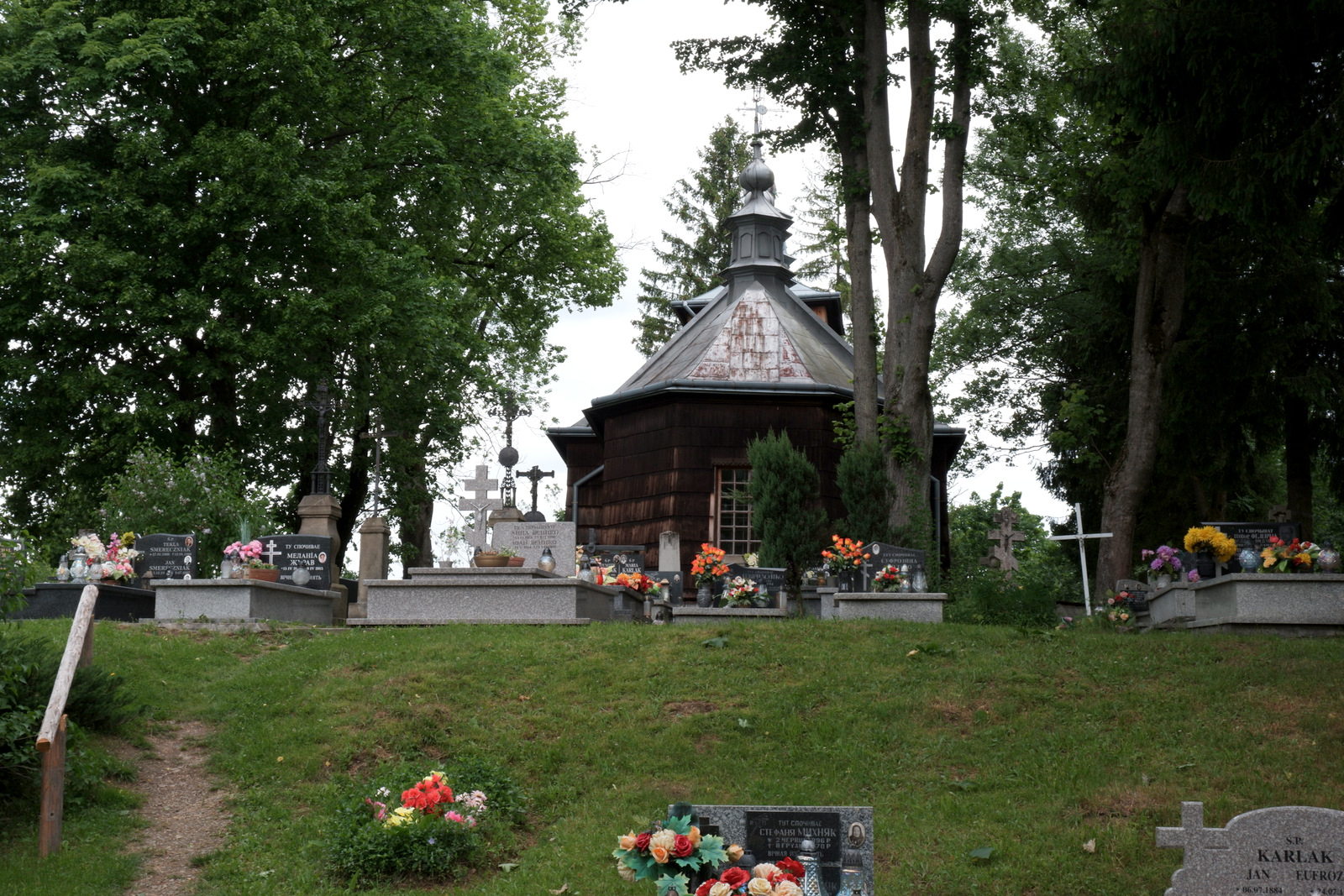 Nazwa:  DSCF5885.JPG
Wyświetleń: 121
Rozmiar:  850,6 KB