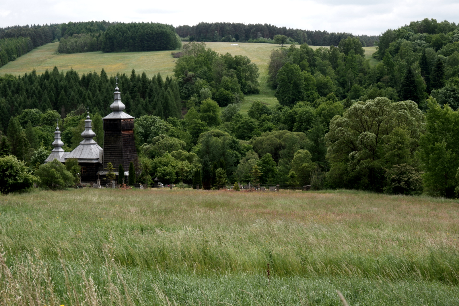 Nazwa:  DSCF5902.JPG
Wyświetleń: 105
Rozmiar:  737,4 KB