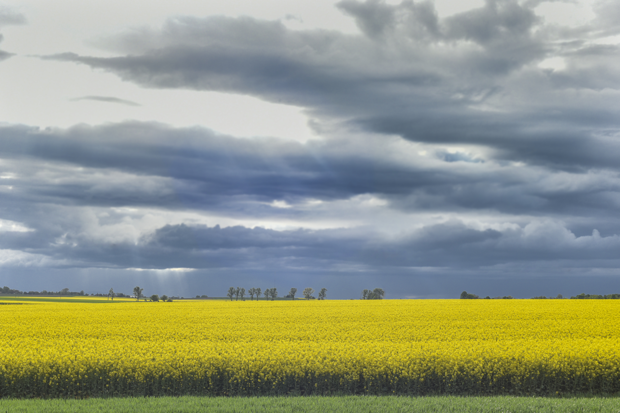 Nazwa:  Of-540.jpg
Wyświetleń: 123
Rozmiar:  2,05 MB