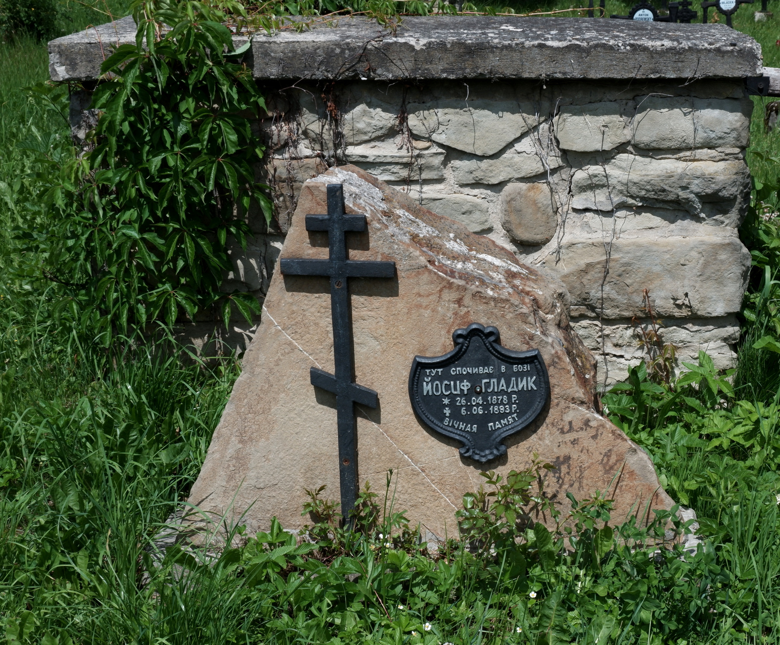 Nazwa:  DSCF5937.JPG
Wyświetleń: 145
Rozmiar:  1,11 MB