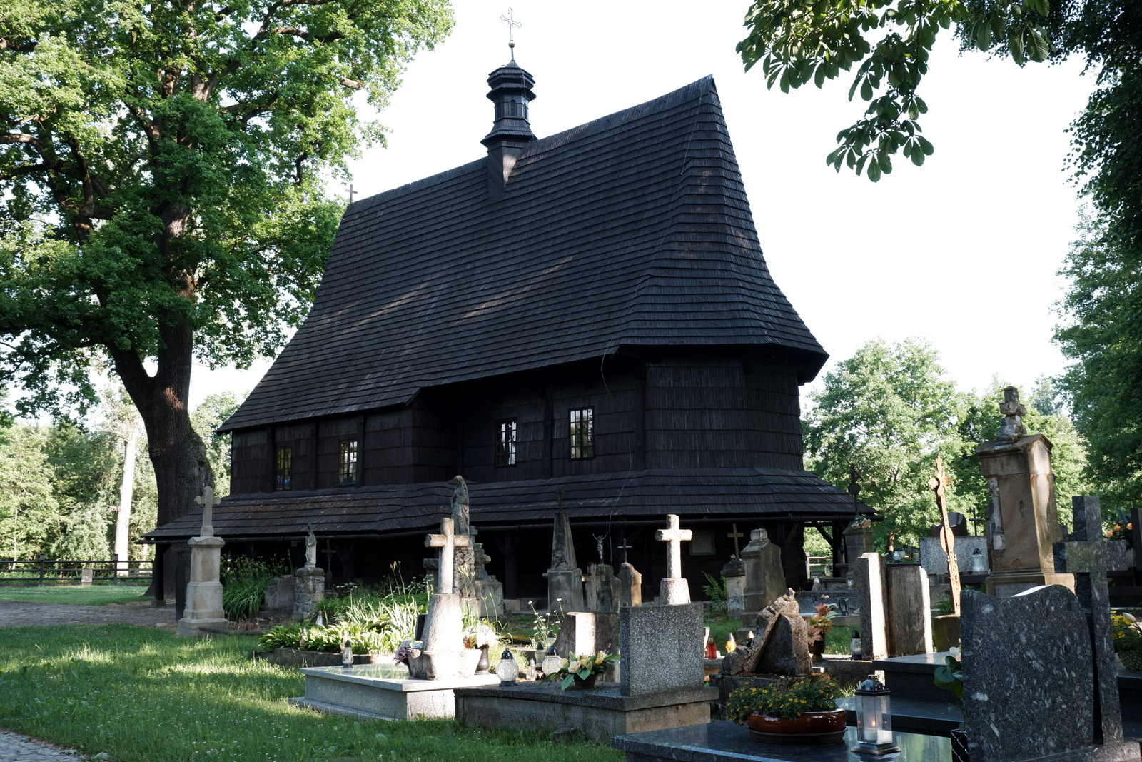 Nazwa:  DSCF6135.JPG
Wyświetleń: 120
Rozmiar:  869,1 KB