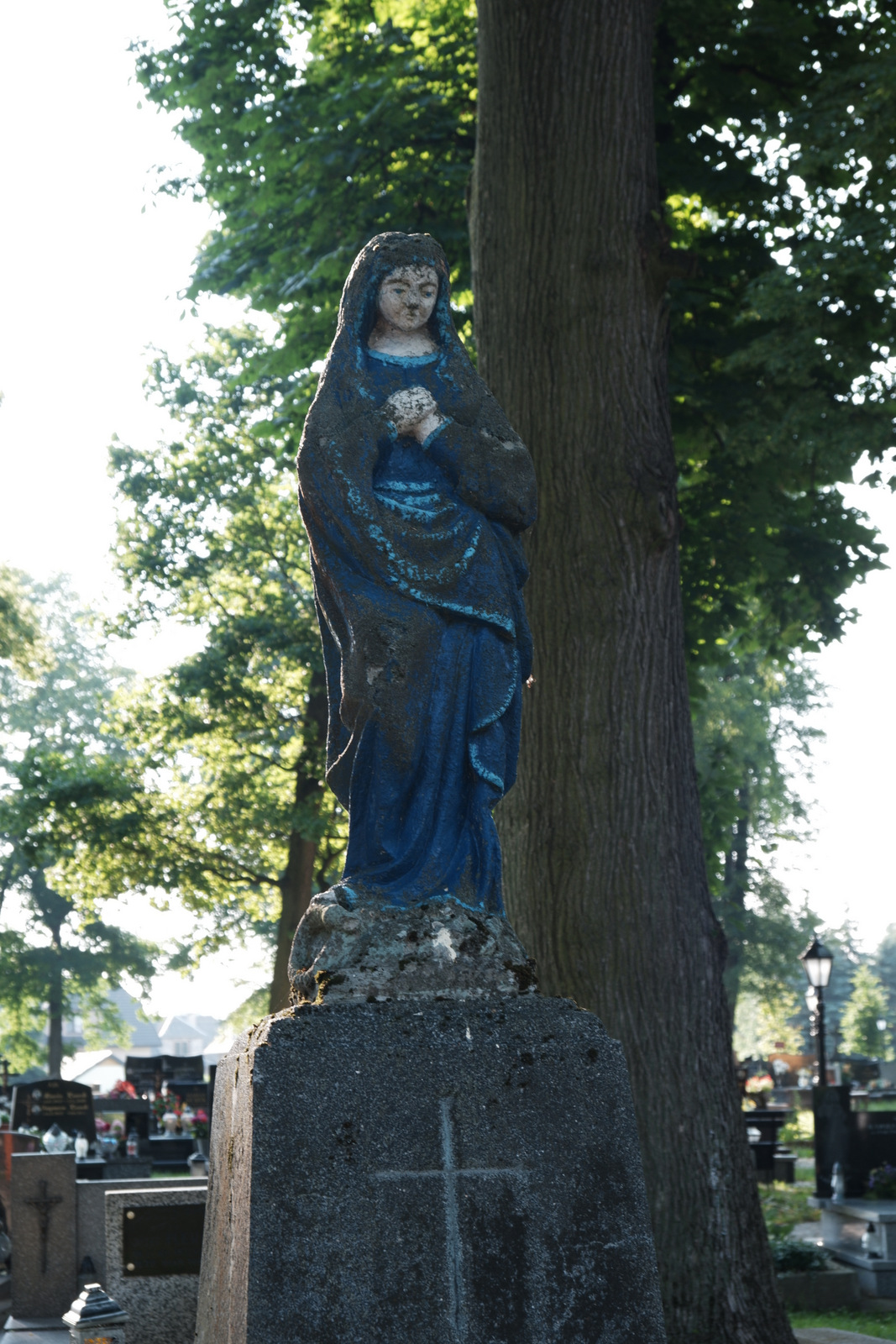 Nazwa:  DSCF6137.JPG
Wyświetleń: 108
Rozmiar:  598,8 KB