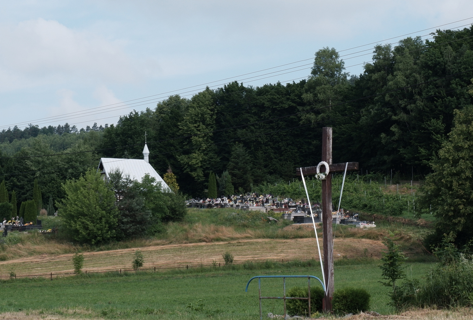 Nazwa:  DSCF6156.JPG
Wyświetleń: 107
Rozmiar:  614,5 KB