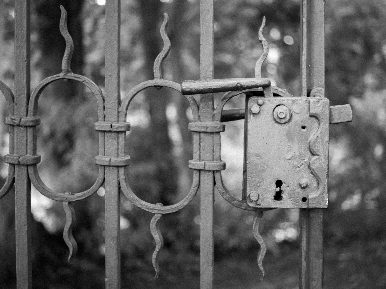 Nazwa:  Image00002.jpg
Wyświetleń: 201
Rozmiar:  530,6 KB