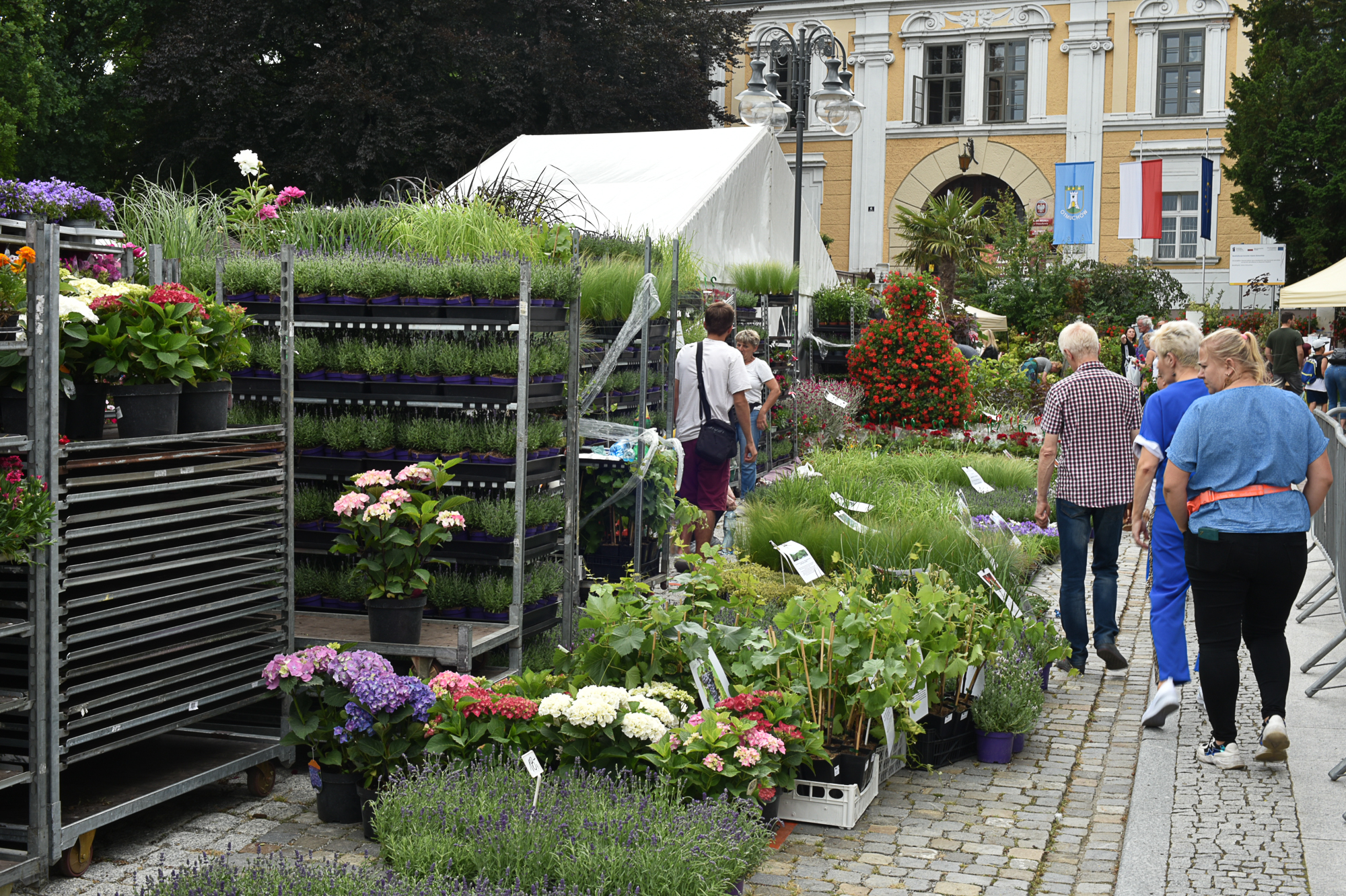 Nazwa:  Of-544.jpg
Wyświetleń: 237
Rozmiar:  2,50 MB