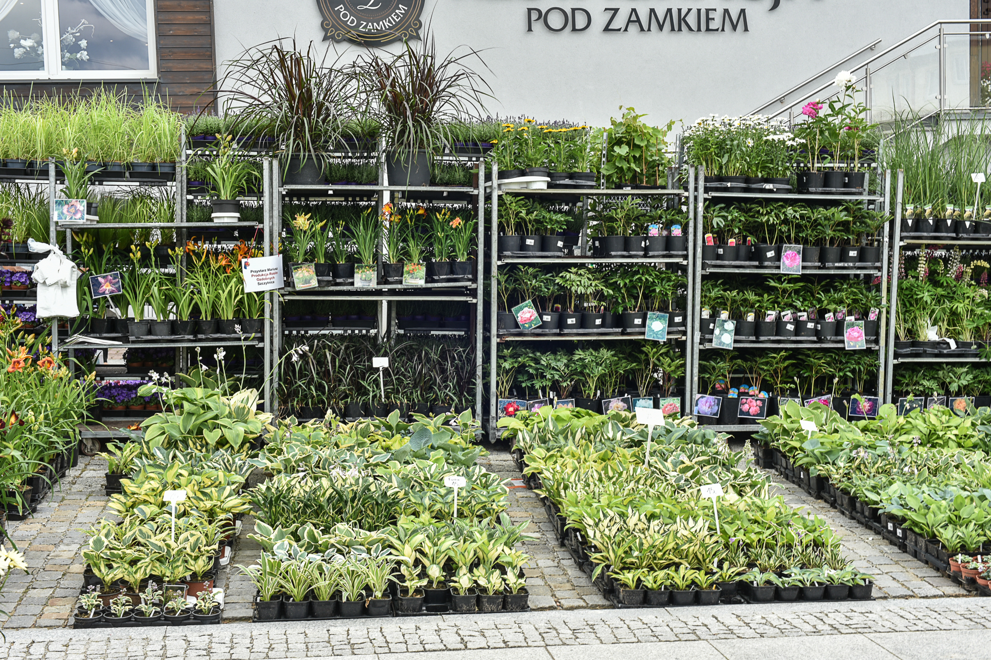 Nazwa:  Of-545.jpg
Wyświetleń: 235
Rozmiar:  2,97 MB