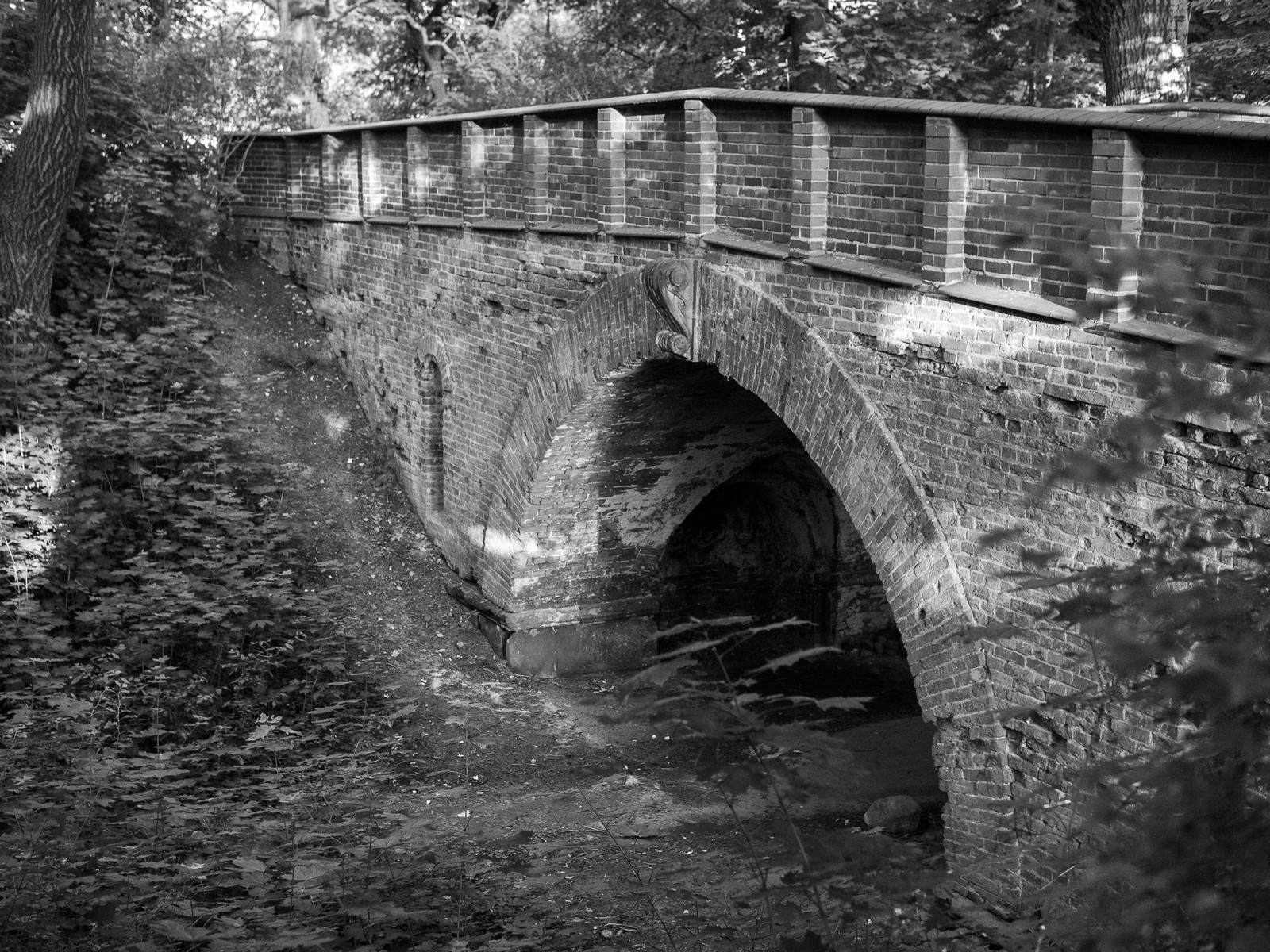 Nazwa:  Image00007.jpg
Wyświetleń: 148
Rozmiar:  746,9 KB