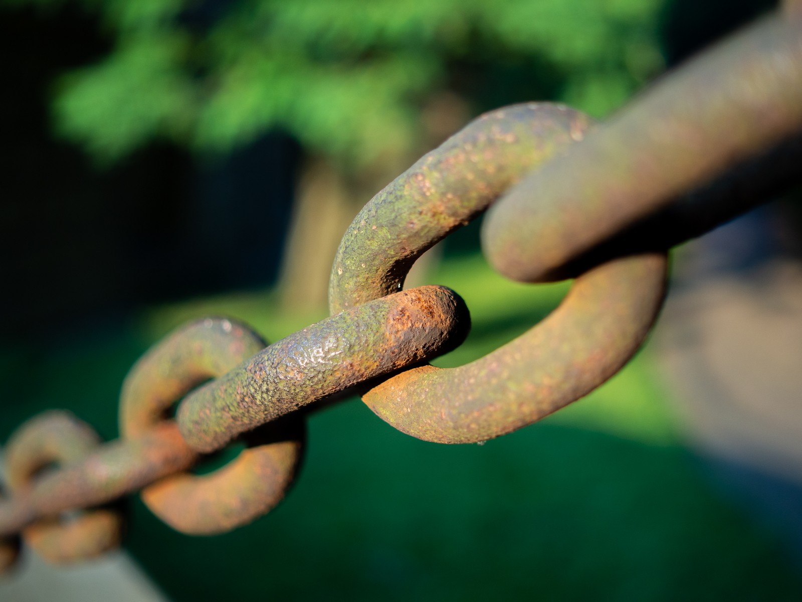 Nazwa:  Image00002.jpg
Wyświetleń: 232
Rozmiar:  245,4 KB