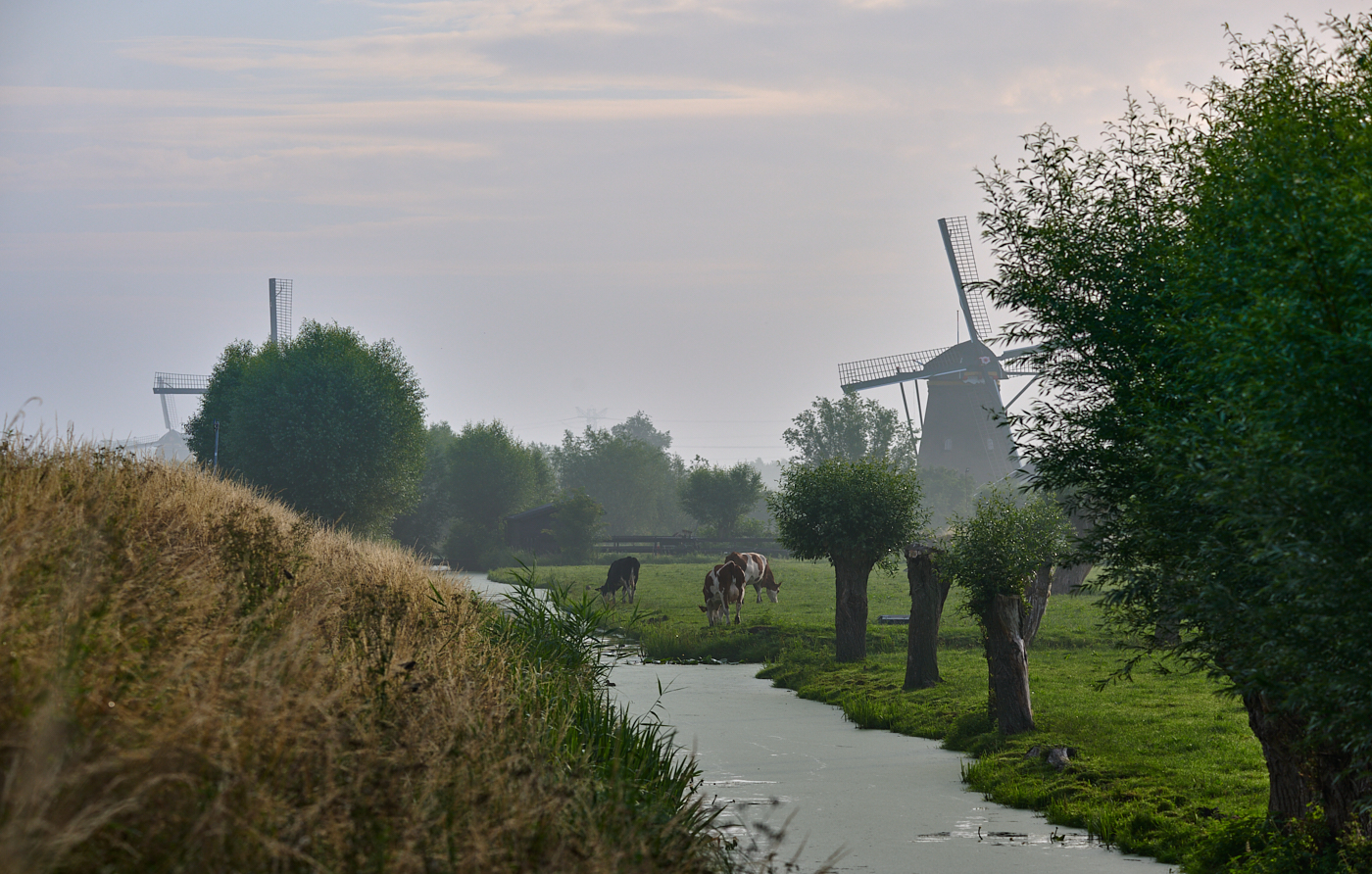 Nazwa:  _2228264.jpg
Wyświetleń: 101
Rozmiar:  1,32 MB