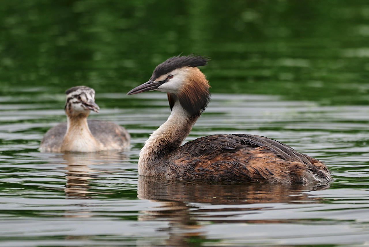 Nazwa:  _JES3050 12.jpg
Wyświetleń: 100
Rozmiar:  1.007,2 KB