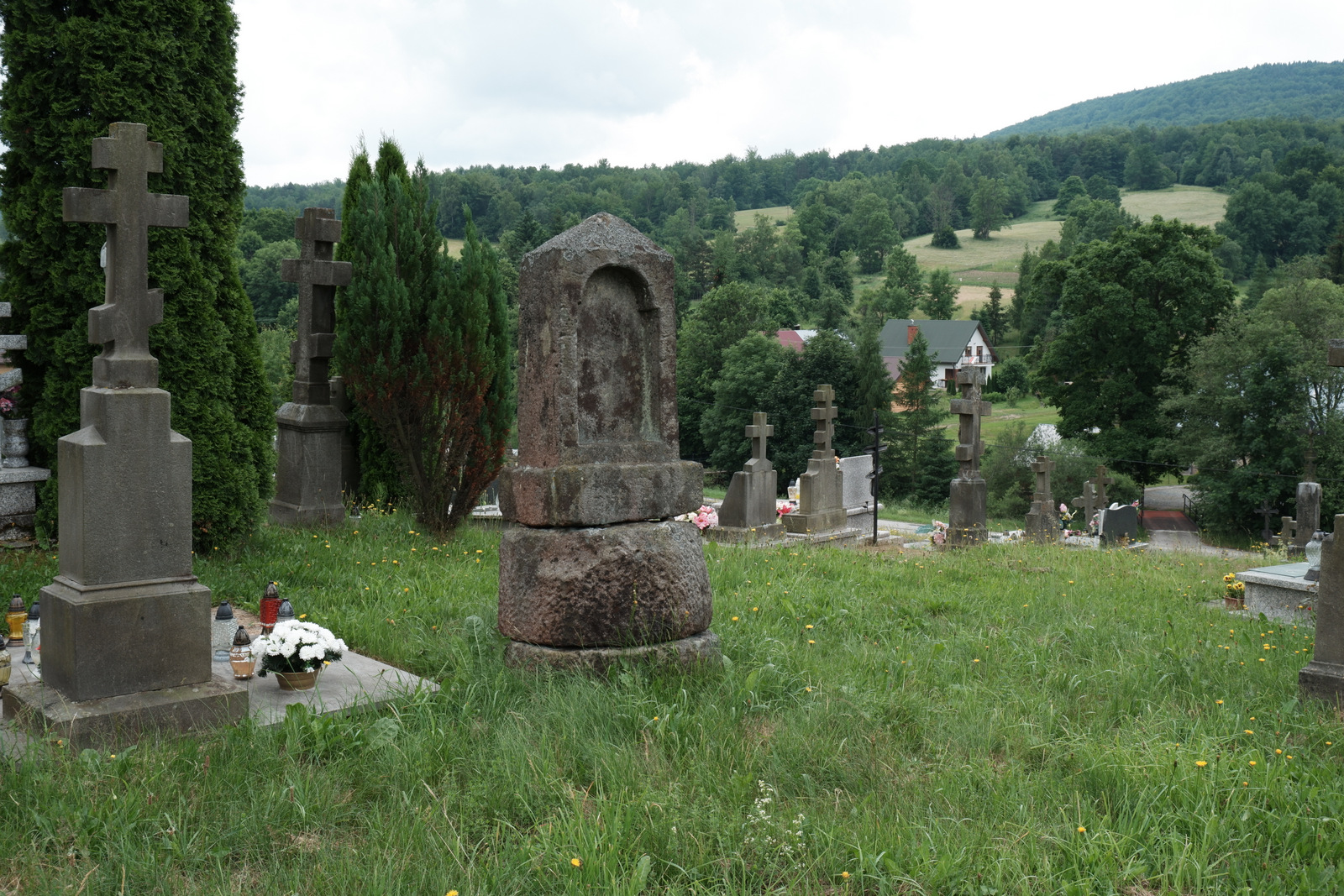 Nazwa:  DSCF6240.JPG
Wyświetleń: 343
Rozmiar:  809,9 KB