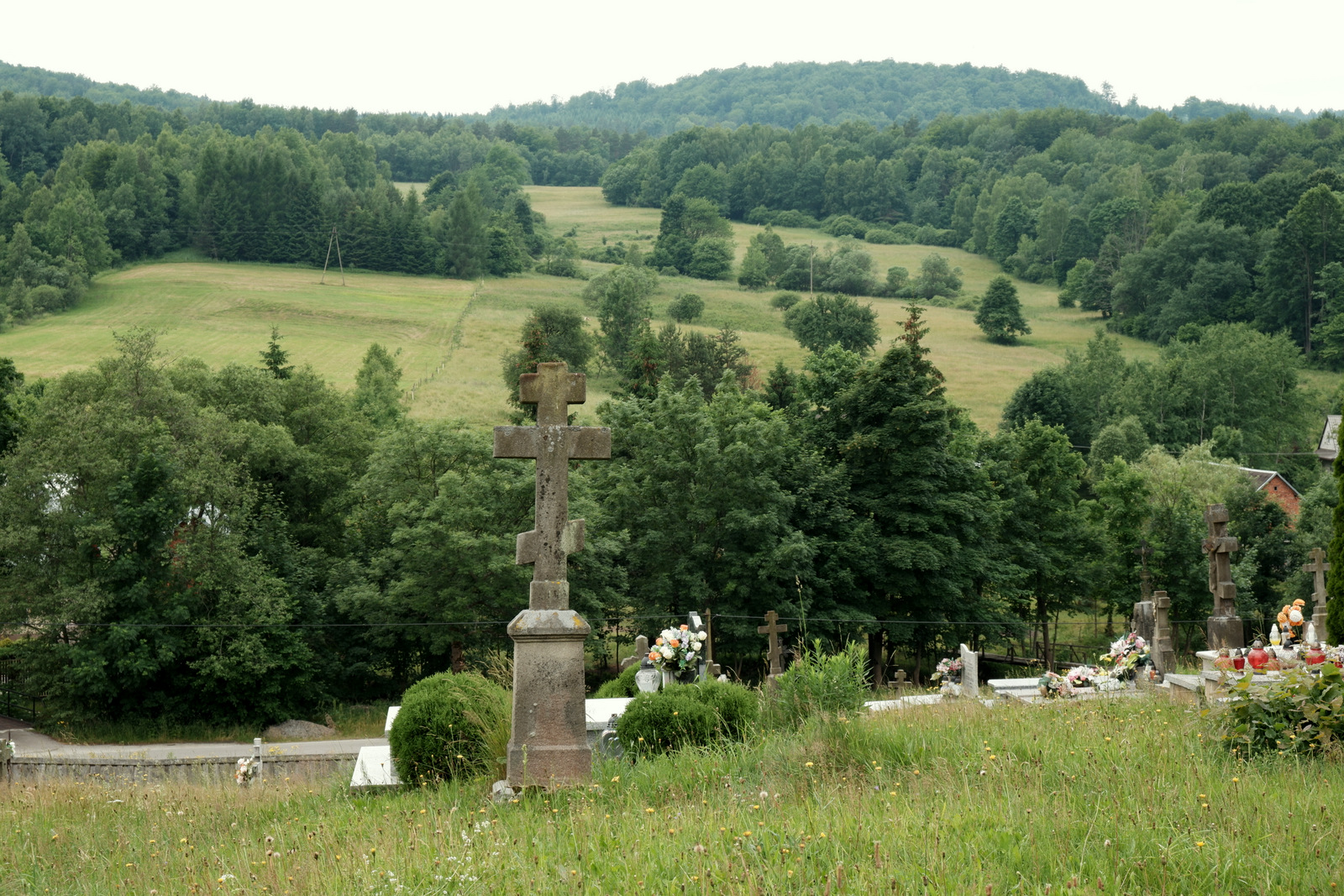 Nazwa:  DSCF6243.JPG
Wyświetleń: 416
Rozmiar:  817,7 KB