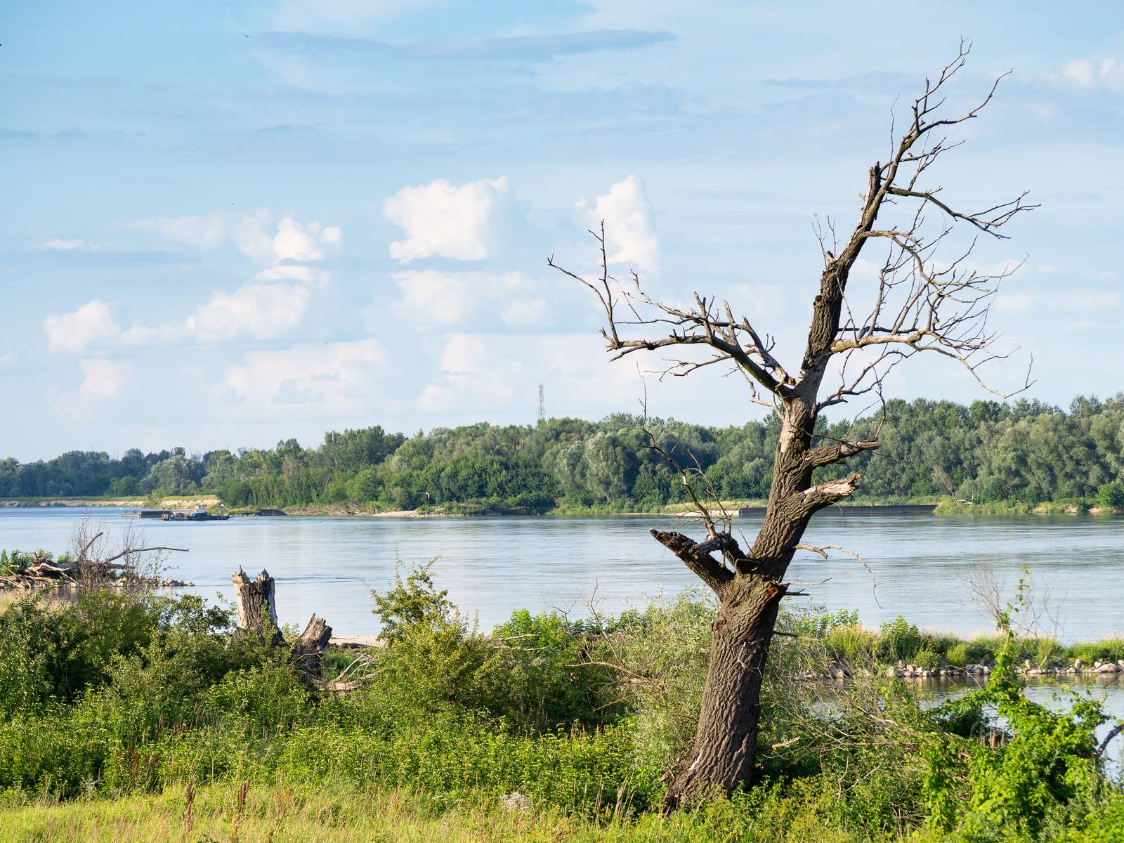 Nazwa:  302.jpg
Wyświetleń: 184
Rozmiar:  375,8 KB