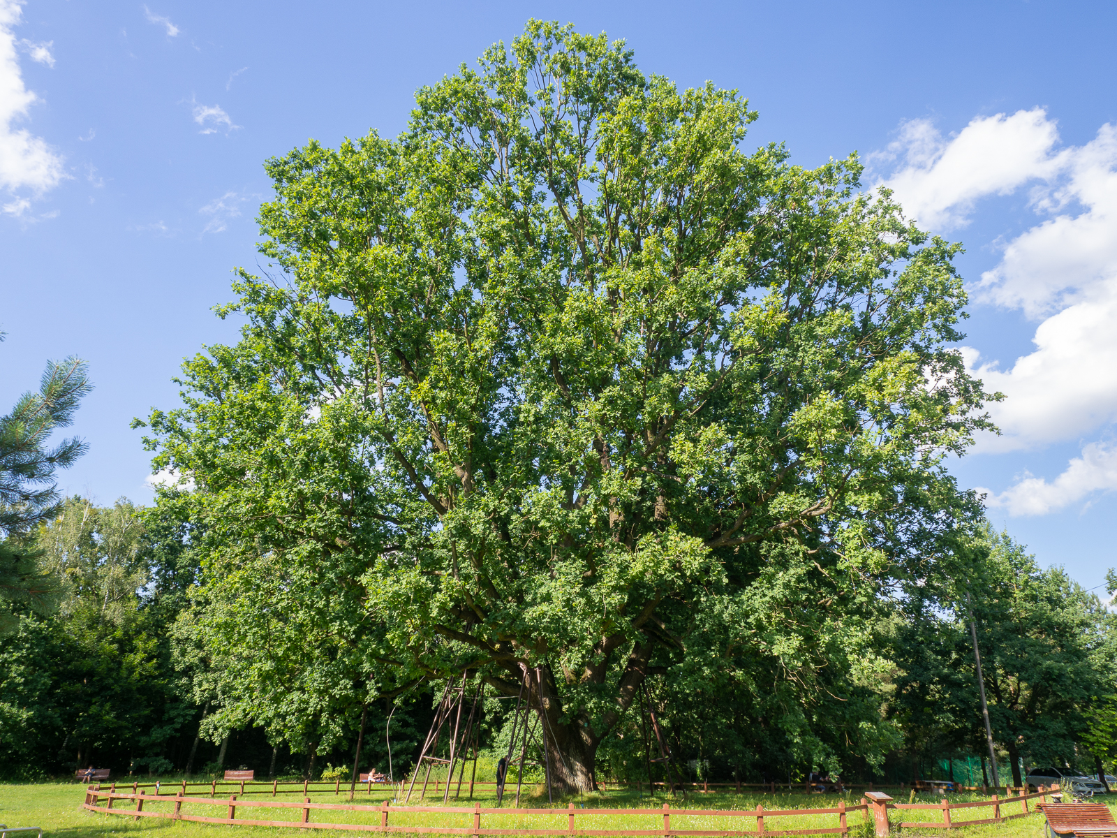 Nazwa:  u03.jpg
Wyświetleń: 121
Rozmiar:  2,58 MB