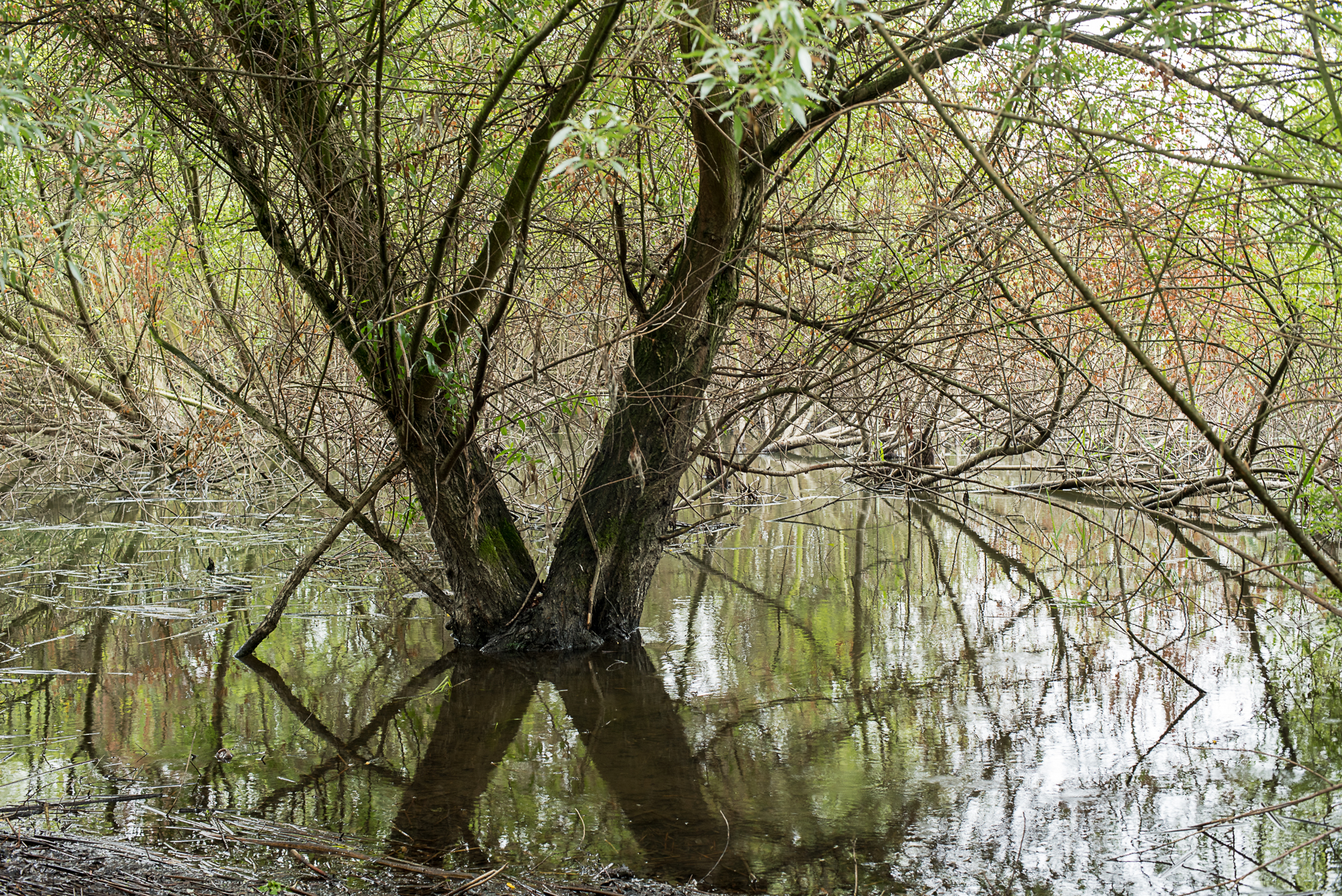 Nazwa:  Of-548.jpg
Wyświetleń: 168
Rozmiar:  3,84 MB