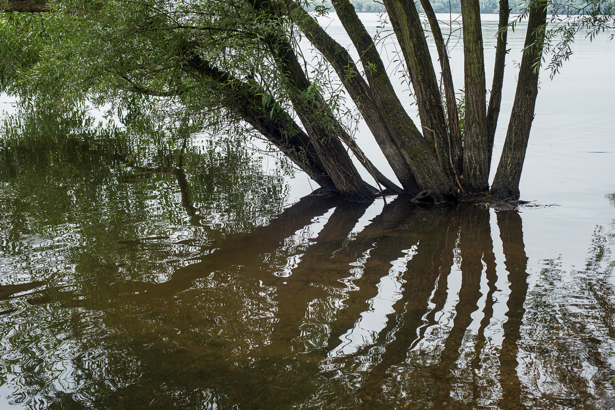 Nazwa:  Of-549.jpg
Wyświetleń: 174
Rozmiar:  2,98 MB