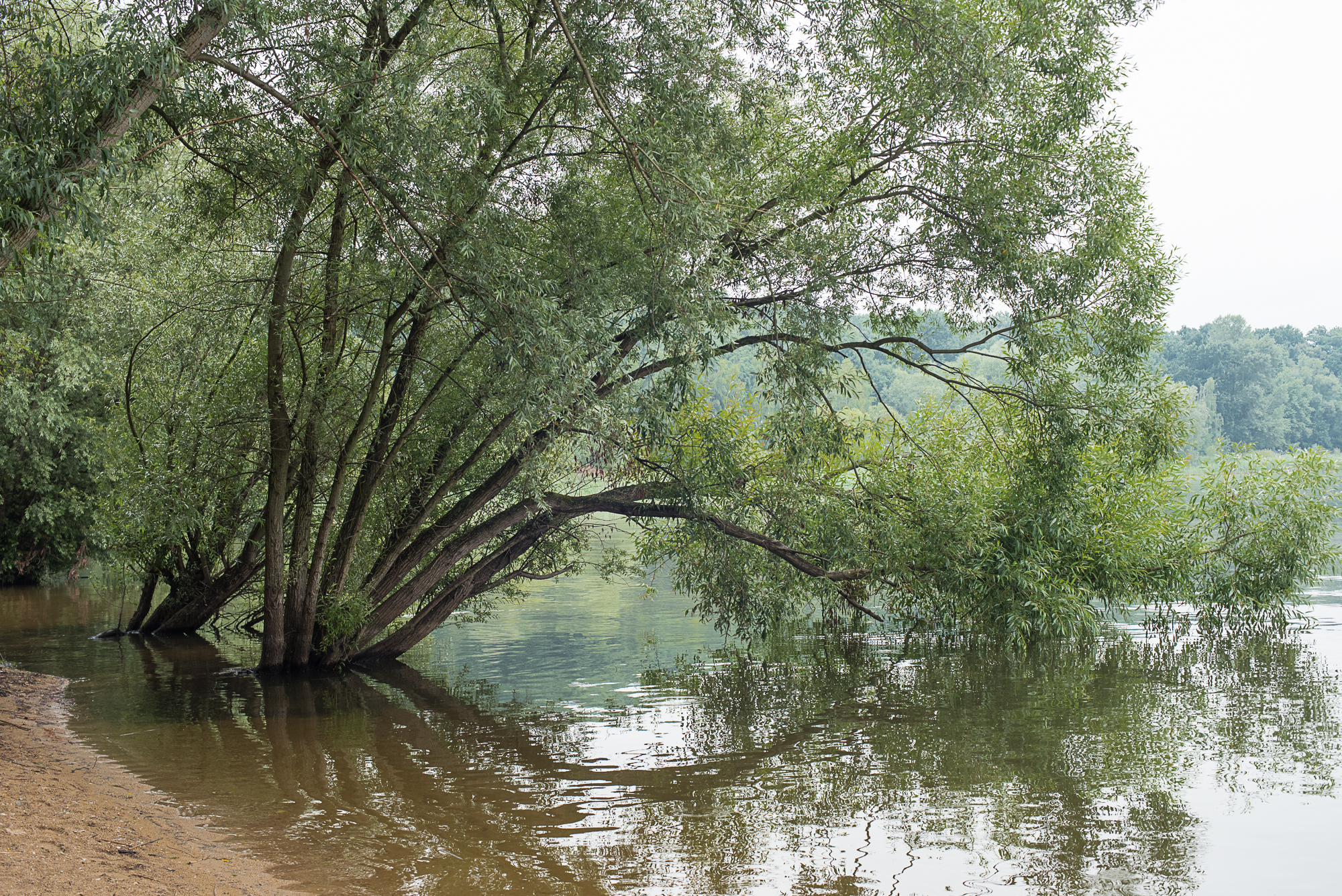 Nazwa:  Of-550.jpg
Wyświetleń: 158
Rozmiar:  3,57 MB