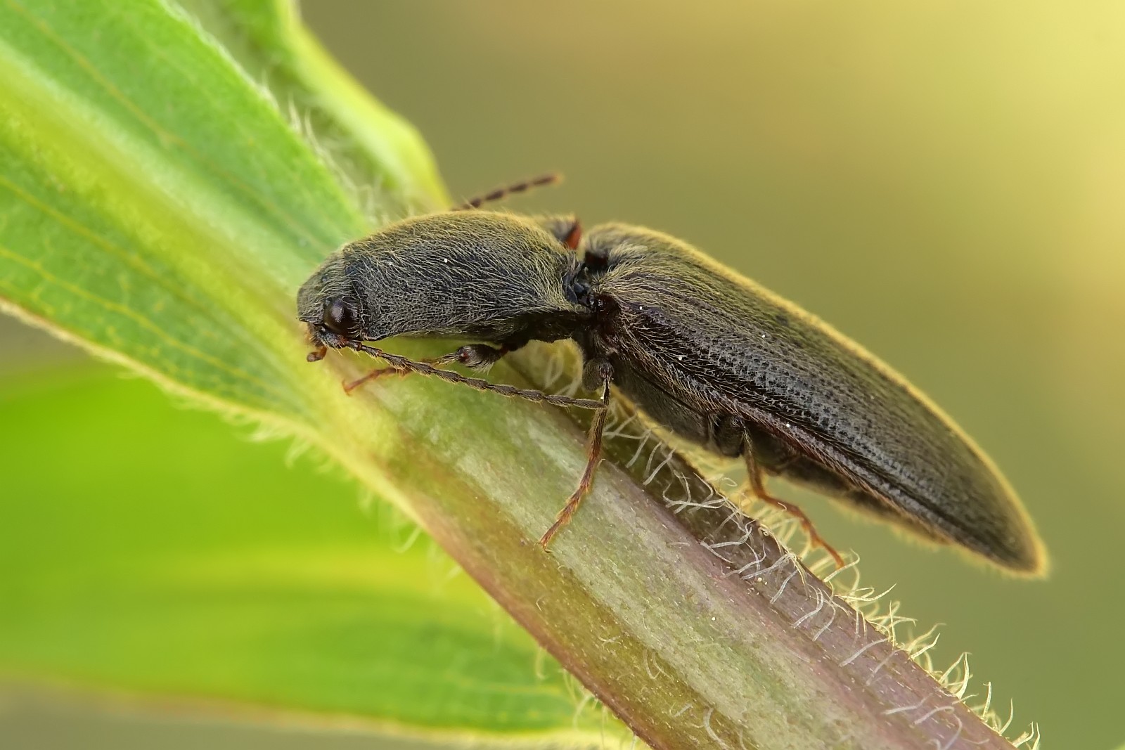 Nazwa:  51219558150_31a52f5ae9_o.jpg
Wyświetleń: 184
Rozmiar:  255,4 KB