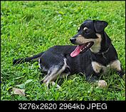 Kliknij obrazek, aby uzyskać większą wersję

Nazwa:	OI000061-01.jpeg
Wyświetleń:	39
Rozmiar:	2,89 MB
ID:	236996