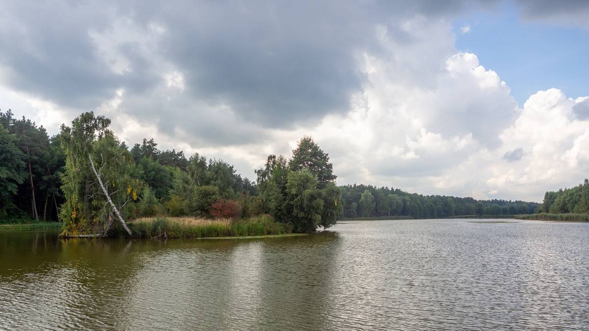 Nazwa:  zawady2.jpg
Wyświetleń: 127
Rozmiar:  123,6 KB