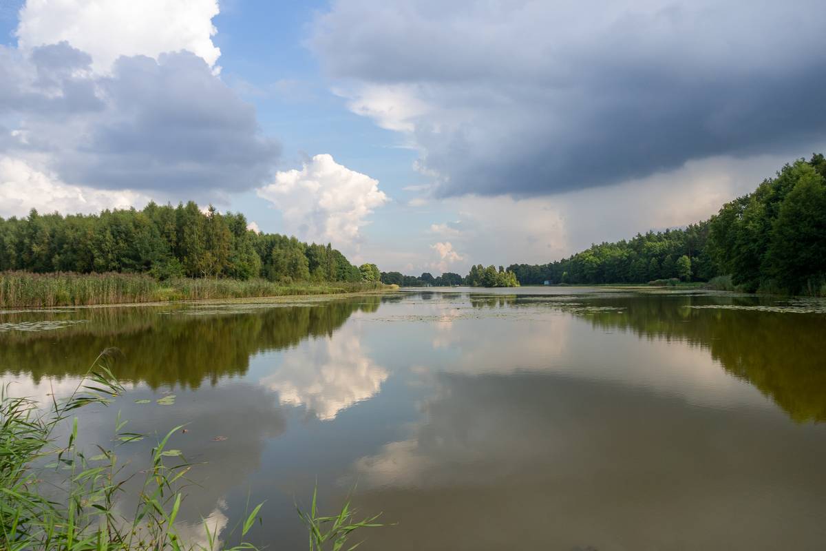Nazwa:  zawady1.jpg
Wyświetleń: 132
Rozmiar:  93,4 KB