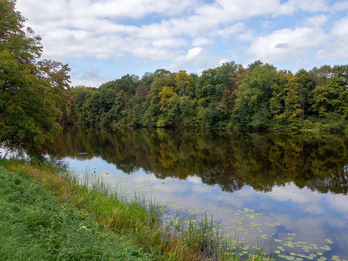 Nazwa:  rower7.jpg
Wyświetleń: 102
Rozmiar:  211,5 KB