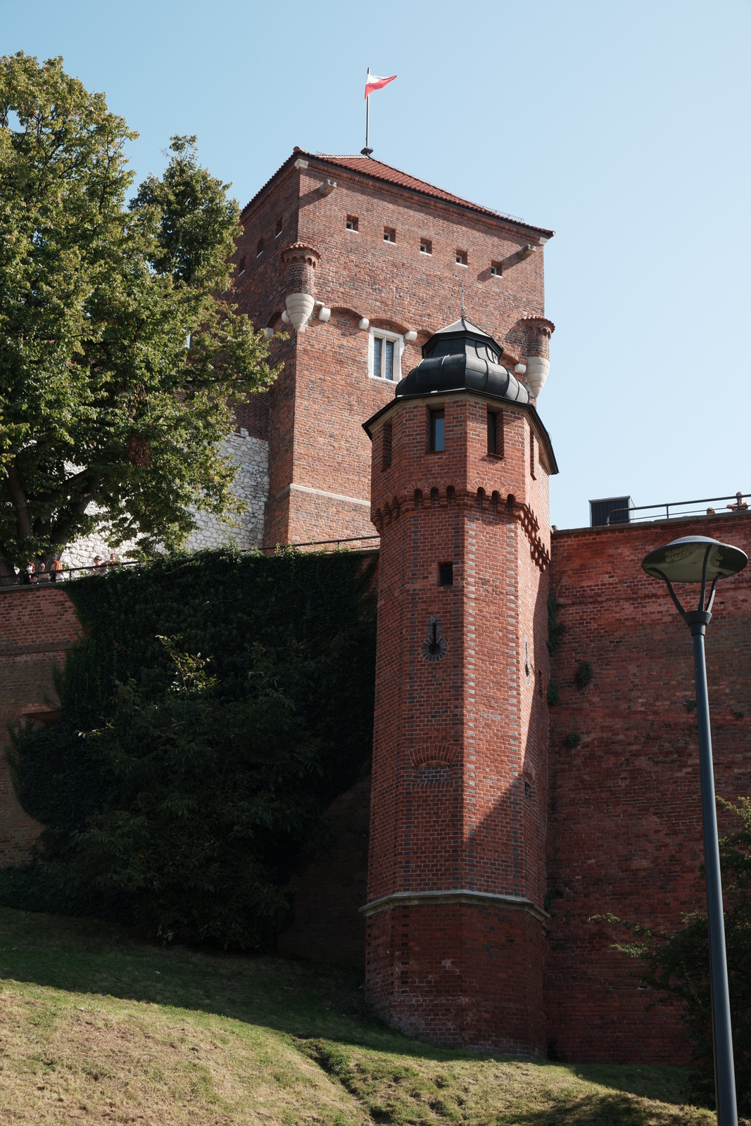 Nazwa:  DSCF7909.JPG
Wyświetleń: 223
Rozmiar:  705,0 KB