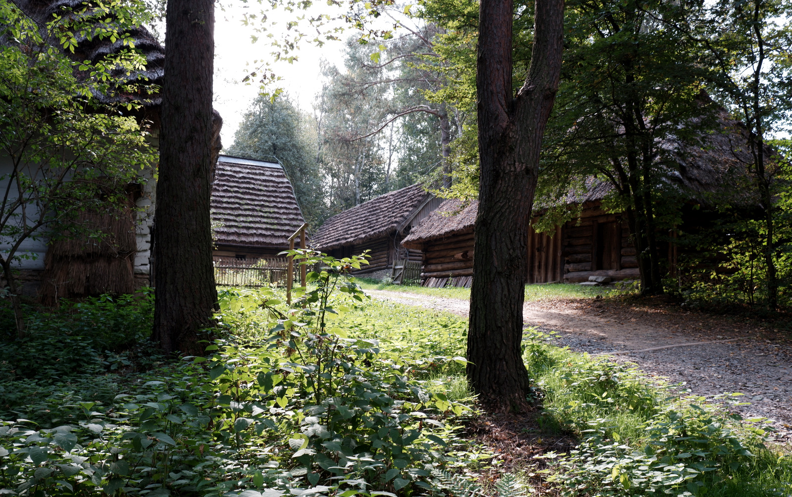 Nazwa:  DSCF7771.JPG
Wyświetleń: 193
Rozmiar:  1.012,7 KB