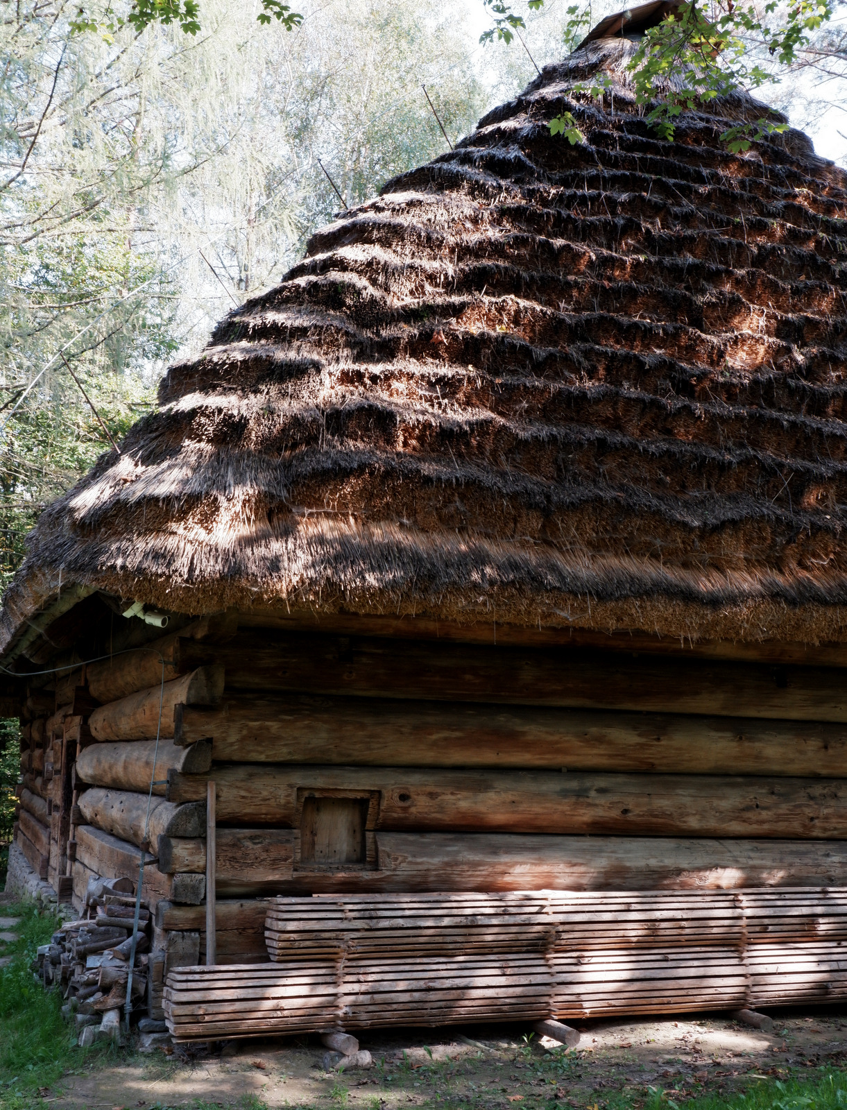 Nazwa:  DSCF7798.JPG
Wyświetleń: 216
Rozmiar:  1,03 MB