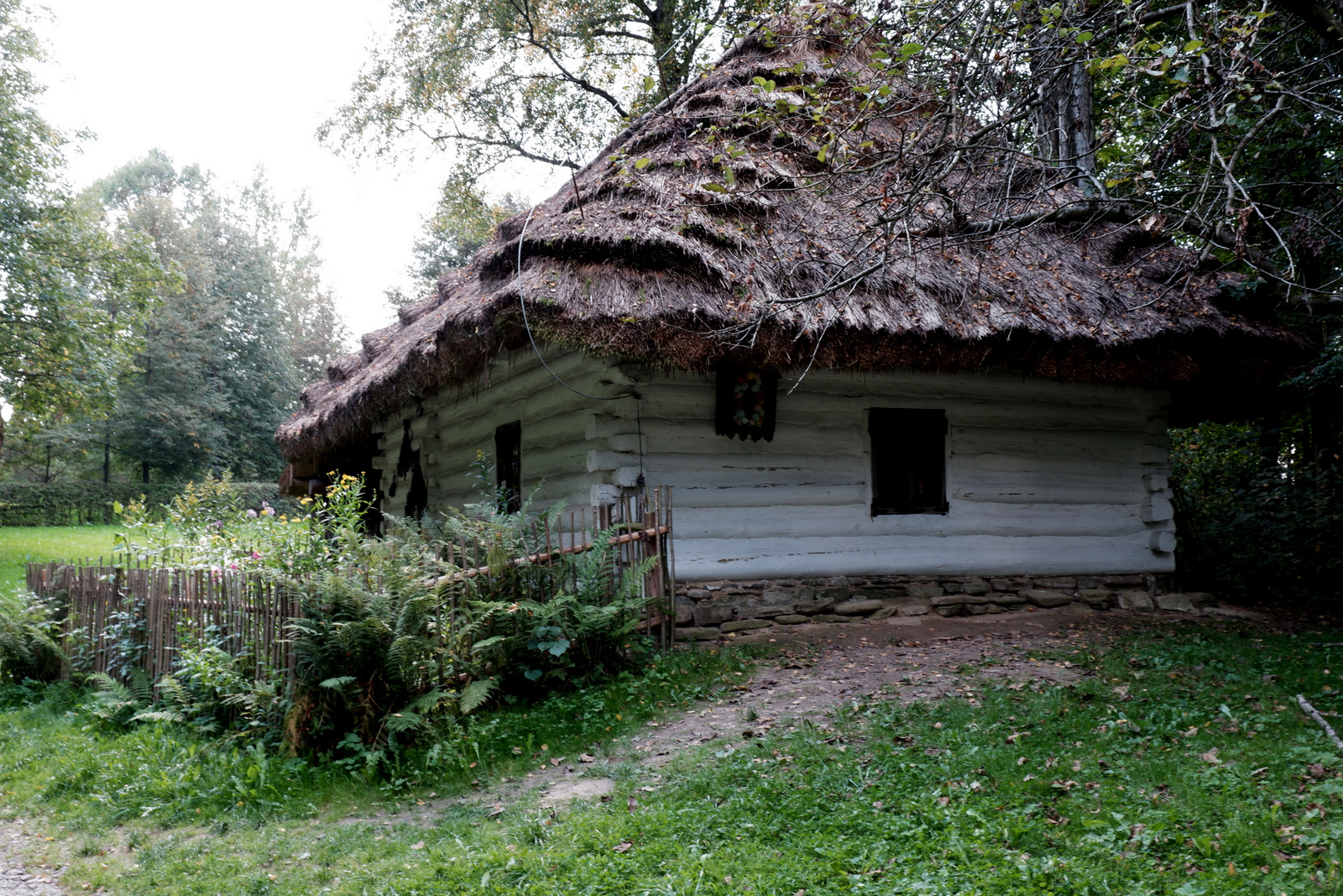 Nazwa:  DSCF7774.JPG
Wyświetleń: 204
Rozmiar:  946,8 KB