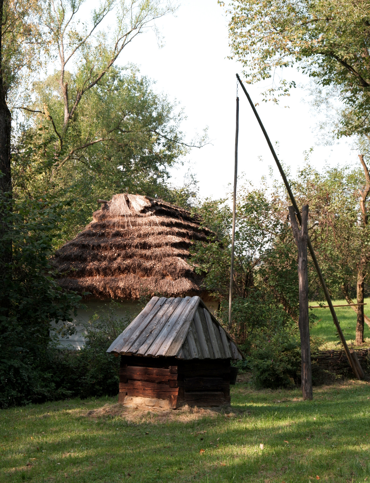 Nazwa:  DSCF7788.JPG
Wyświetleń: 175
Rozmiar:  1,06 MB