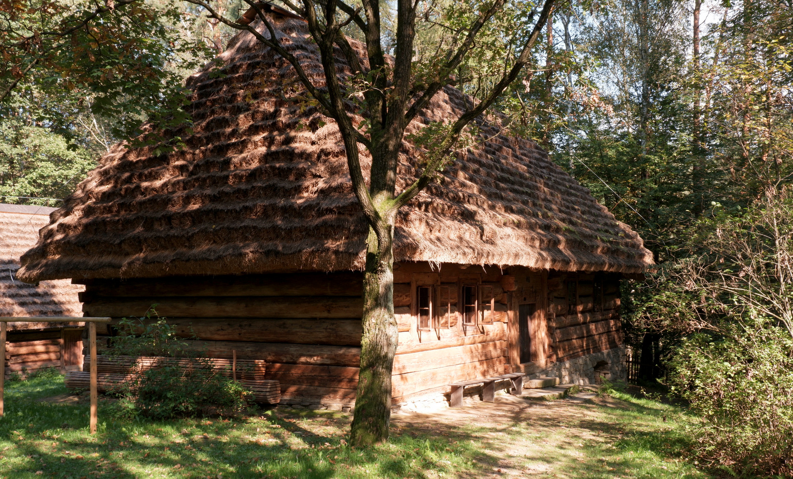 Nazwa:  DSCF7794.JPG
Wyświetleń: 186
Rozmiar:  1.022,1 KB