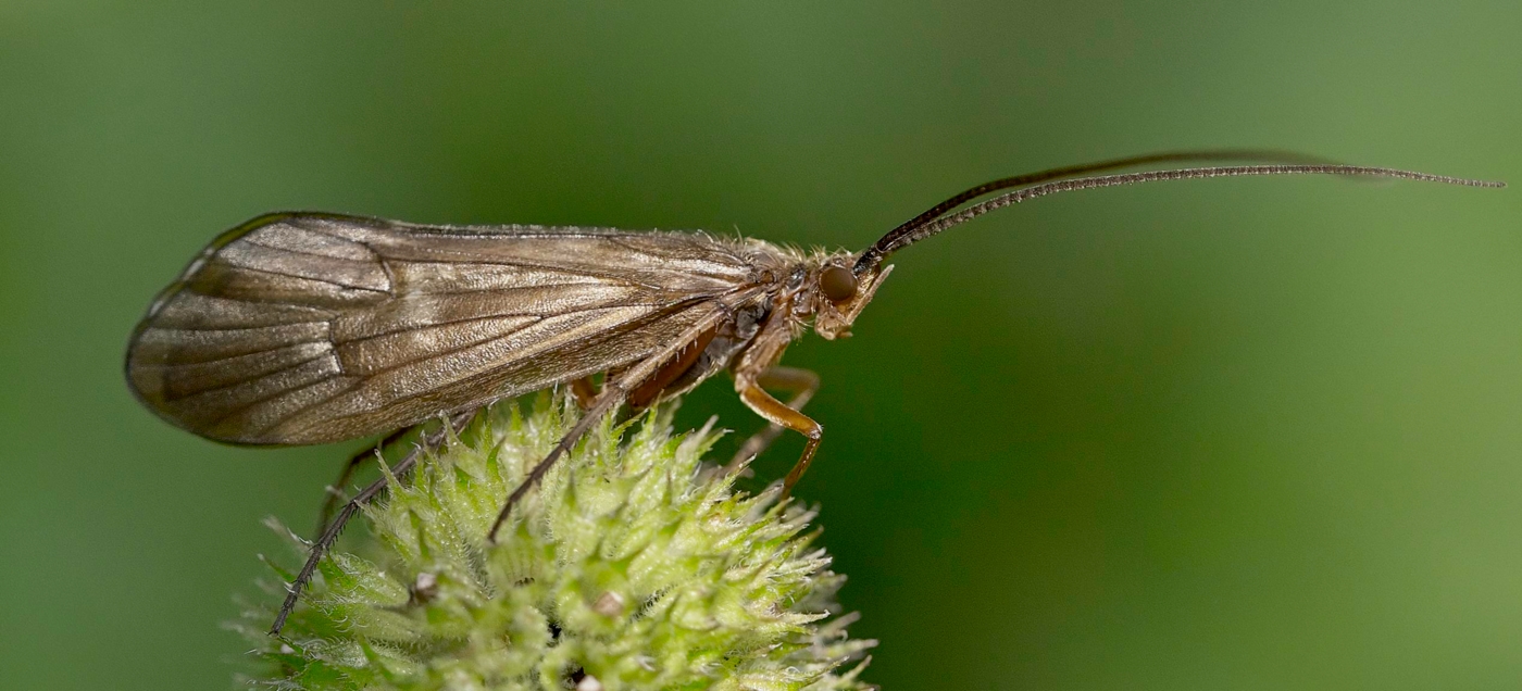 Nazwa:  _2223514 3.jpg
Wyświetleń: 180
Rozmiar:  585,2 KB