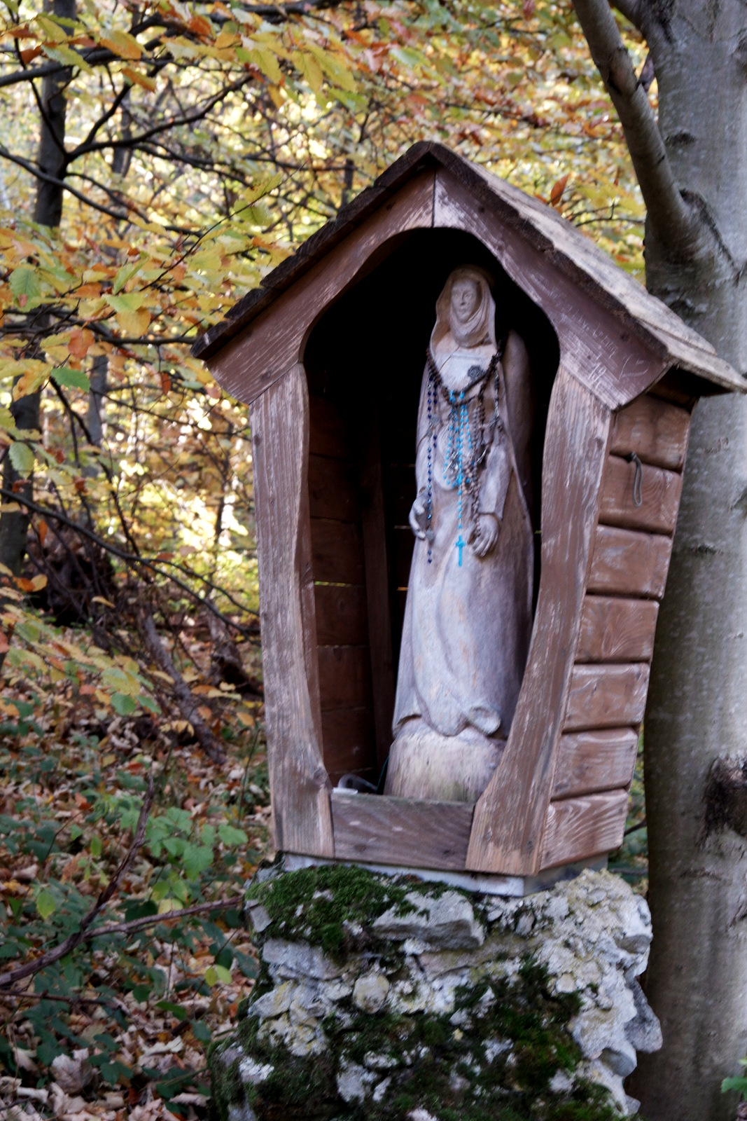 Nazwa:  DSCF8042.JPG
Wyświetleń: 153
Rozmiar:  700,3 KB