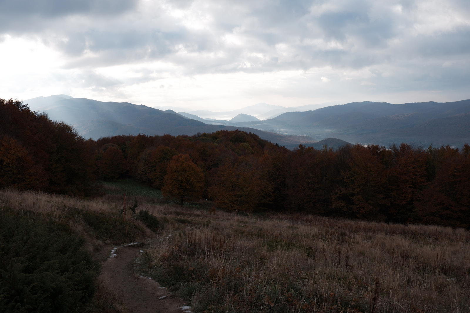 Nazwa:  DSCF8044.JPG
Wyświetleń: 155
Rozmiar:  429,1 KB