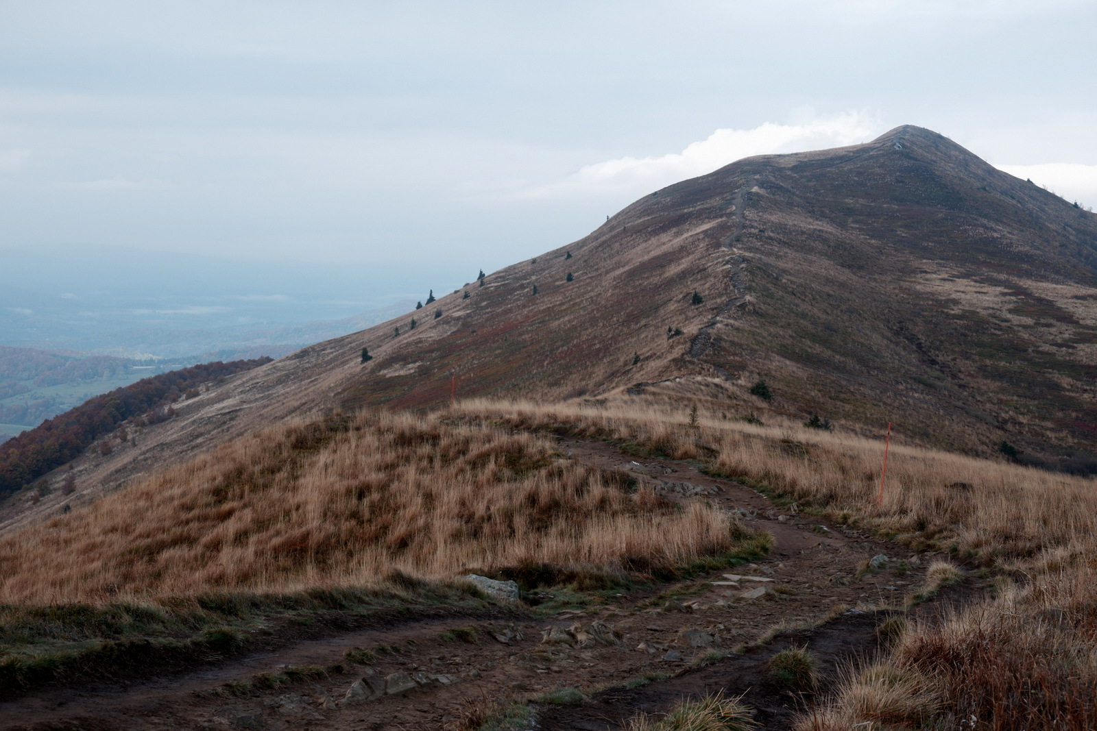 Nazwa:  DSCF8049.JPG
Wyświetleń: 151
Rozmiar:  553,1 KB