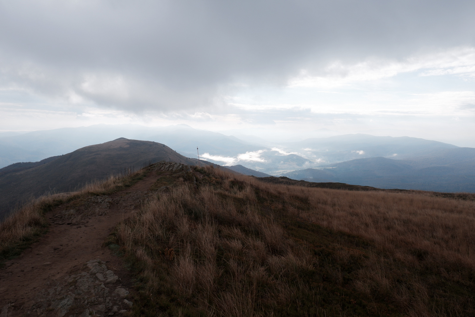 Nazwa:  DSCF8051.JPG
Wyświetleń: 151
Rozmiar:  376,2 KB