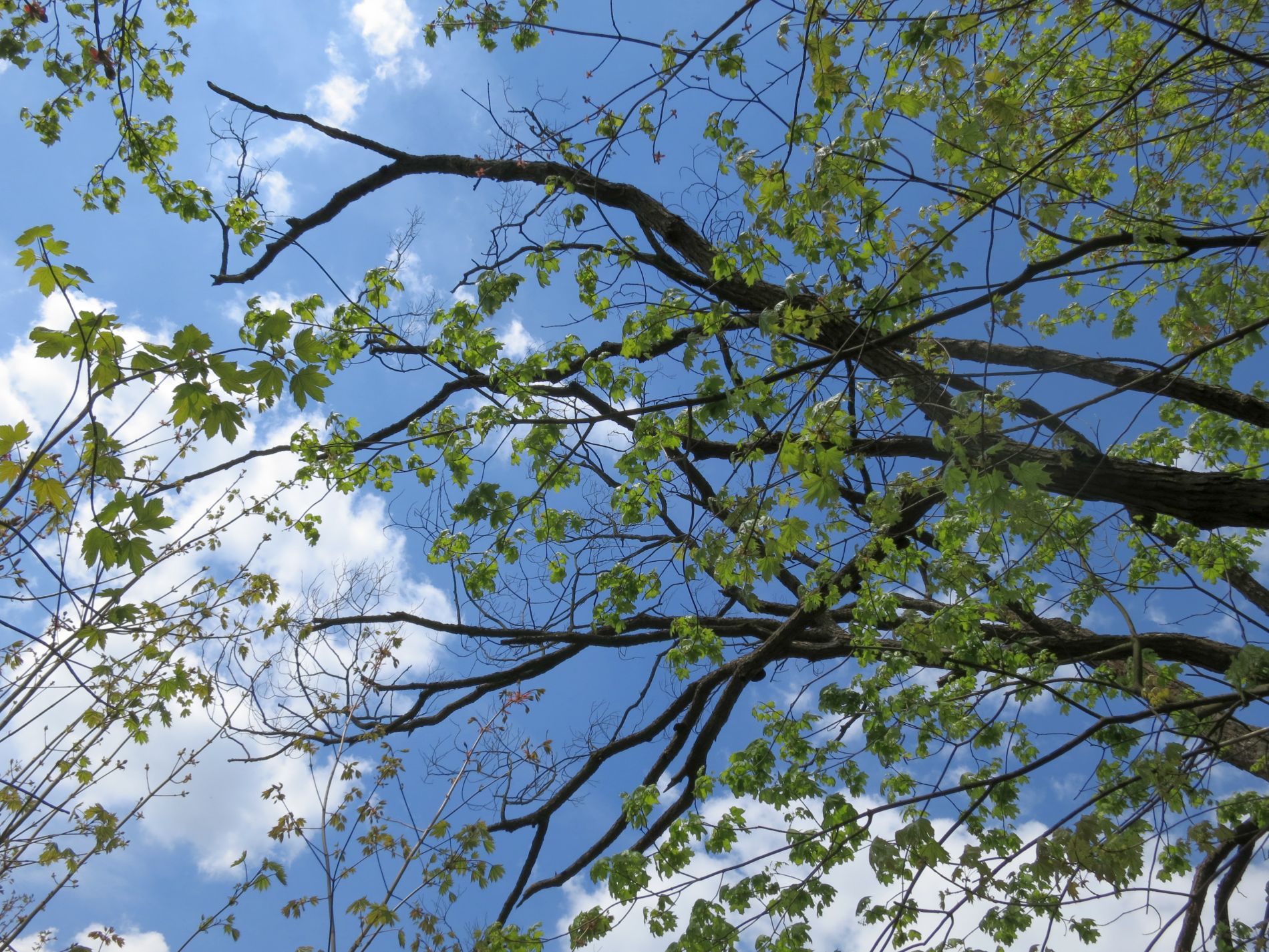 Kliknij obrazek, aby uzyskać większą wersję

Nazwa:	IMG_4812E1900.jpg
Wyświetleń:	270
Rozmiar:	590,8 KB
ID:	238362