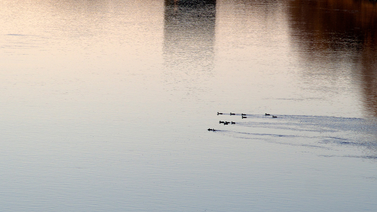 Nazwa:  PB011307.jpg
Wyświetleń: 193
Rozmiar:  263,3 KB