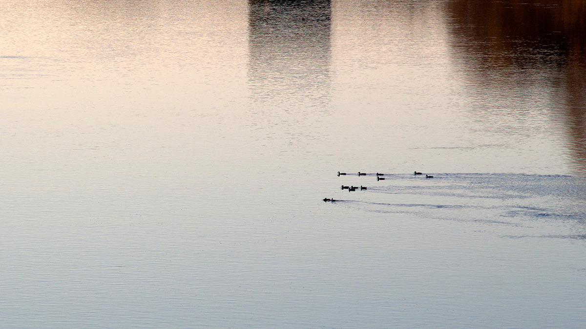 Nazwa:  PB011307_1.jpg
Wyświetleń: 177
Rozmiar:  264,4 KB